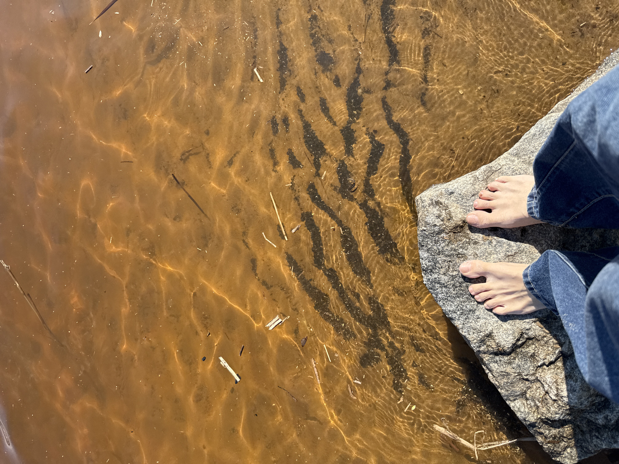 A top-down shot reveals a small portion of a body of water with a sandy bottom, likely a lake or pond, with the edge of a rocky outcrop in the lower right corner. The water is clear enough to see the sandy floor below. A pair of bare feet are perched on the rock, indicating someone is standing there. The person is wearing blue jeans. Debris such as small sticks and leaves are scattered in the water and on the bottom. The overall scene depicts a natural setting, possibly a lakeside or pond-side environment. There is no information available regarding the location in the city of Rusanovo, Russia.