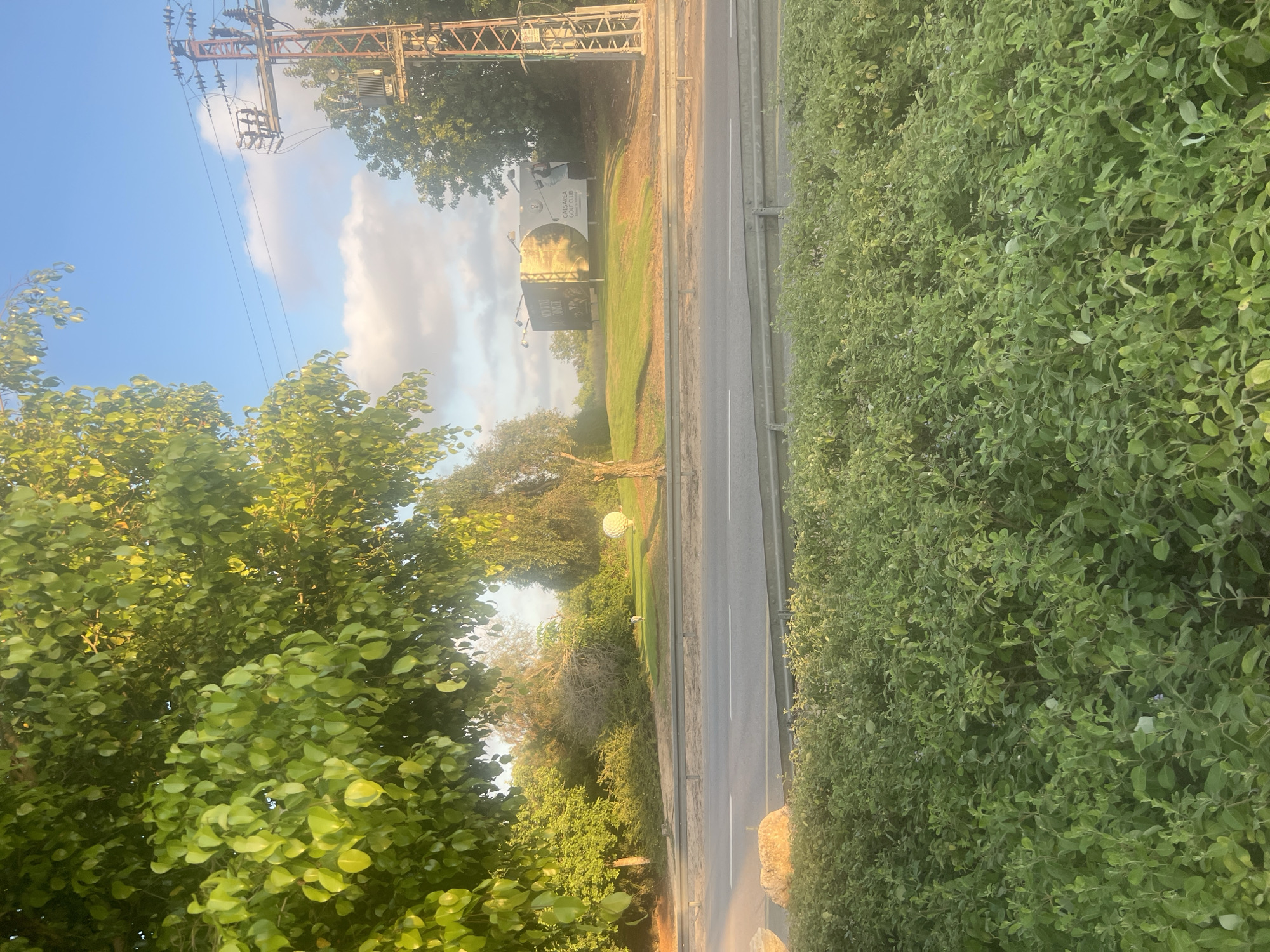 This is a landscape photograph taken outdoors. The scene is a roadside with a densely vegetated hedge on the right side of the image and a tree with lush green leaves on the left. A paved road runs through the middle of the image, with power lines and a transformer visible above on the left. In the distance, there is a large billboard or advertisement for "Caesarea Golf Club". The sun appears to be low in the sky, casting a warm, golden light on the scene, suggesting it is either early morning or late afternoon. The sky is partly cloudy. There are no people visible in the image. The overall impression is one of a tranquil, natural setting beside a road, with the advertisement hinting at recreational facilities nearby.