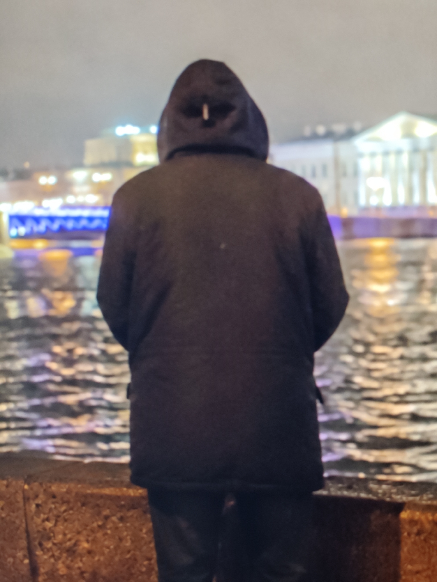A person wearing a dark hooded jacket stands with their back to the camera, facing a body of water at night. The water reflects lights from buildings and a bridge in the background. The person is standing on a stone embankment. The overall scene suggests an urban environment at night.