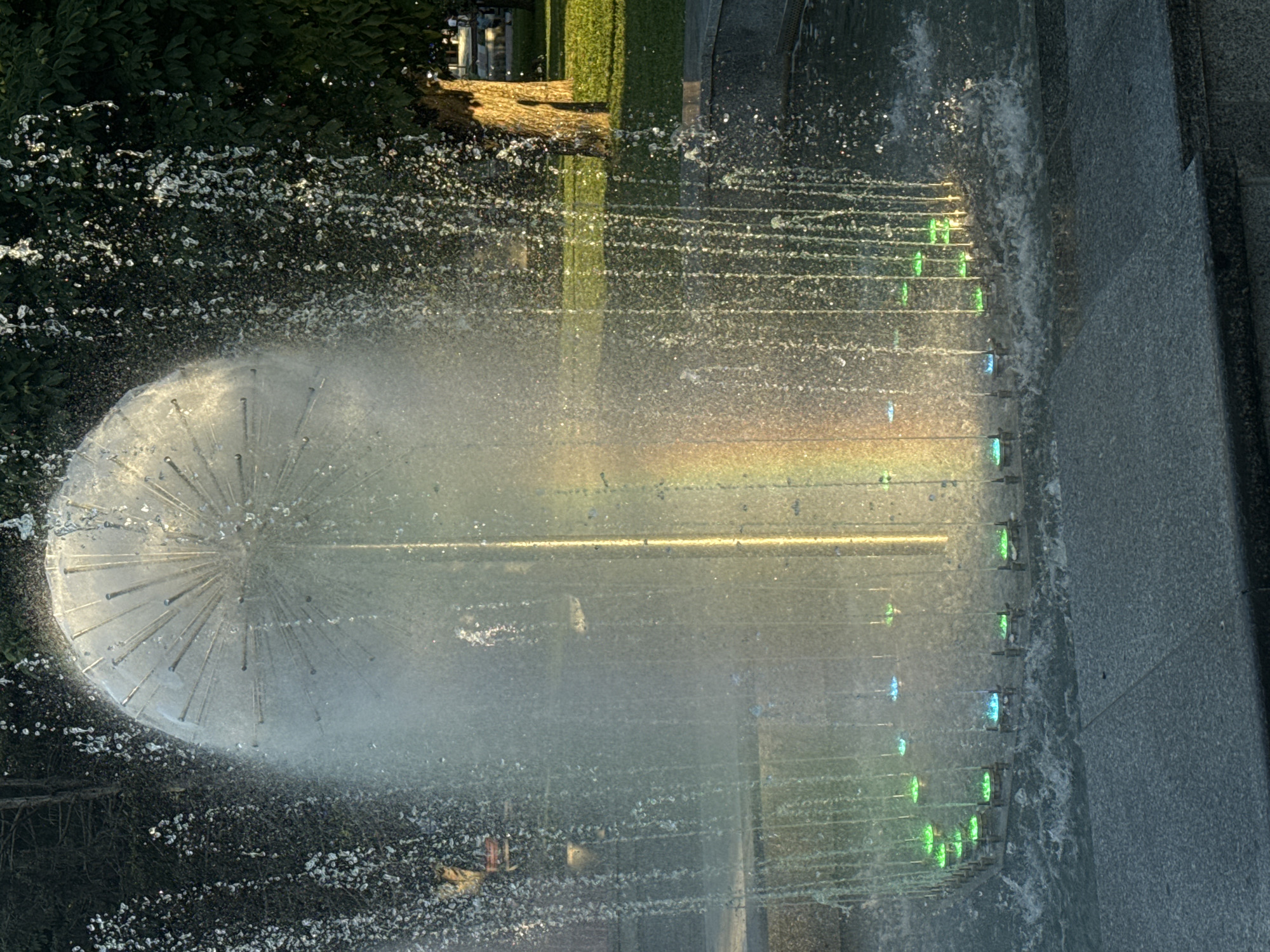 The photograph depicts a spherical fountain in a park setting, likely in the city of Pleven, Bulgaria. The fountain is constructed of metal spokes radiating from a central sphere, with water spraying outward and downward, creating a misty veil. A faint rainbow is visible within the spray. At the base of the fountain, a ring of LED lights, predominantly green and blue, illuminates the water. The surrounding environment includes manicured green grass, trees with rough bark, and paved walkways made of granite-like material. The lighting suggests it is either early morning or late afternoon, with sunlight casting warm tones on the scene. There are no people clearly identifiable in the frame.