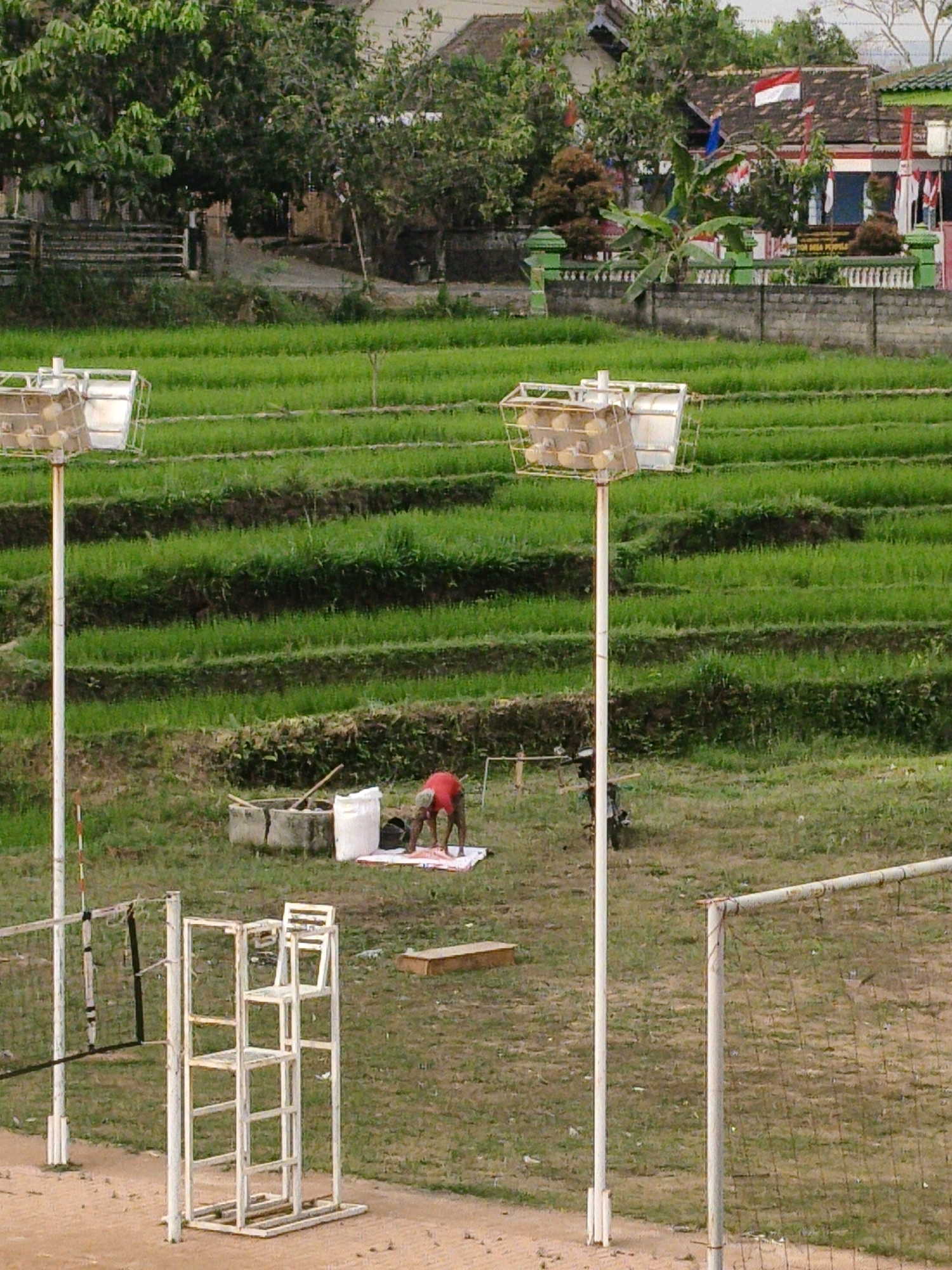 The image depicts a tiered rice paddy field adjacent to a volleyball court. In the foreground, a white umpire's chair and volleyball net are visible. In the mid-ground, a person in a red shirt is bent over on a white mat near a concrete well and a large white bag. In the background, several buildings with red and white flags are situated behind a stone wall and green fence, suggesting a location in Indonesia, possibly Puhpelem. The overall scene appears to be a rural setting with agricultural and recreational elements.