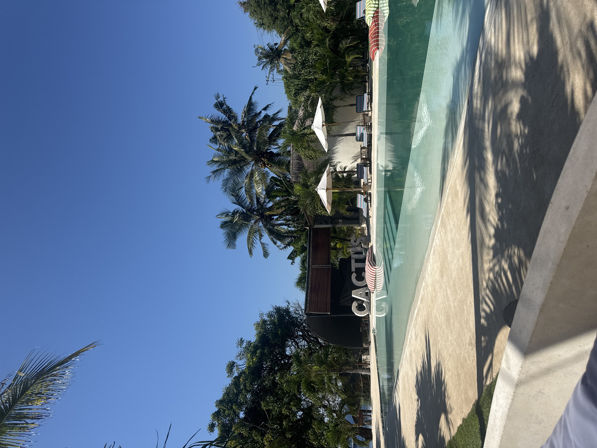The image depicts an outdoor swimming pool area, likely part of a resort or beach club named "Cactus," located in Nusa Penida, Indonesia, under a clear, bright blue sky. The foreground features a light-colored, possibly concrete, pool deck with prominent, elongated shadows of palm fronds cast upon it and extending into the water. A light-colored wall or railing and a soft blue-grey cushion are visible in the immediate bottom left.
The irregularly shaped swimming pool contains clear, light blue water, with lighter sections indicating shallower depths or sun reflections. Large, white, three-dimensional letters spelling "CACTUS" are positioned at the far end of the pool, seemingly on a shallow ledge or partially submerged. A white life buoy is visible near the letter 'C'. Beyond the letters, a dark, open-air structure with horizontal wooden slat blinds is present, flanked by lush green trees and palm fronds.
Along the far side of the pool, several lounge chairs with striped cushions (red, blue, and green variations) are arranged, each accompanied by a white, open beach umbrella providing shade. Large, striped cushions, one red and white, one green and white, are visible on the shallow steps of the pool or floating in the water. Numerous palm trees and dense tropical vegetation form the backdrop for the entire scene, with some palm trees bearing coconuts. A glimpse of a larger body of water, possibly the ocean, is visible through the trees in the far left background. Utility poles and wires are faintly discernible above the tree line in the upper right quadrant. No individuals are present in the scene. The strong shadows indicate bright, direct sunlight, suggesting midday or early afternoon.