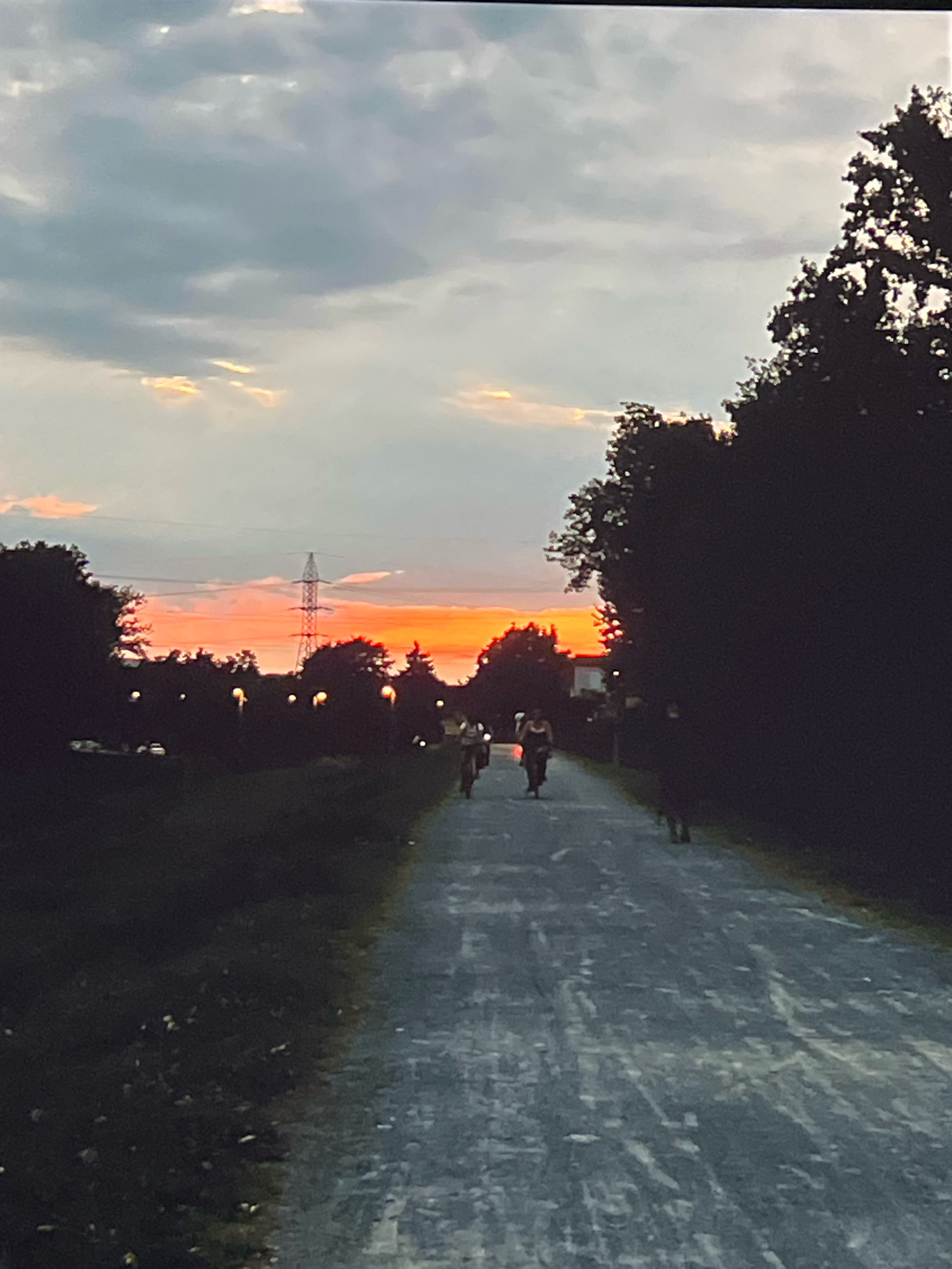 The image captures a sunset scene along a paved path, likely a bike trail or promenade, in the City of Zagreb, Croatia. The sky is a dramatic canvas of twilight, with patches of grey clouds interspersed with vibrant orange and yellow hues from the setting sun. Silhouetted against the colorful sky are trees and a tall electrical pylon, hinting at the proximity of infrastructure within a natural or park-like setting.
Several figures are visible on the path, all appearing to be on bicycles. In the mid-ground, two individuals are riding bicycles, one slightly ahead of the other. Further down the path, another cyclist is visible. The path itself is grey and textured, appearing somewhat worn, with dappled light and shadow from the surrounding trees. The dark masses of trees frame the scene on both sides, their dense foliage creating stark silhouettes against the illuminated sky. The overall impression is one of a serene evening activity, with people enjoying the end of the day outdoors in an urban green space.