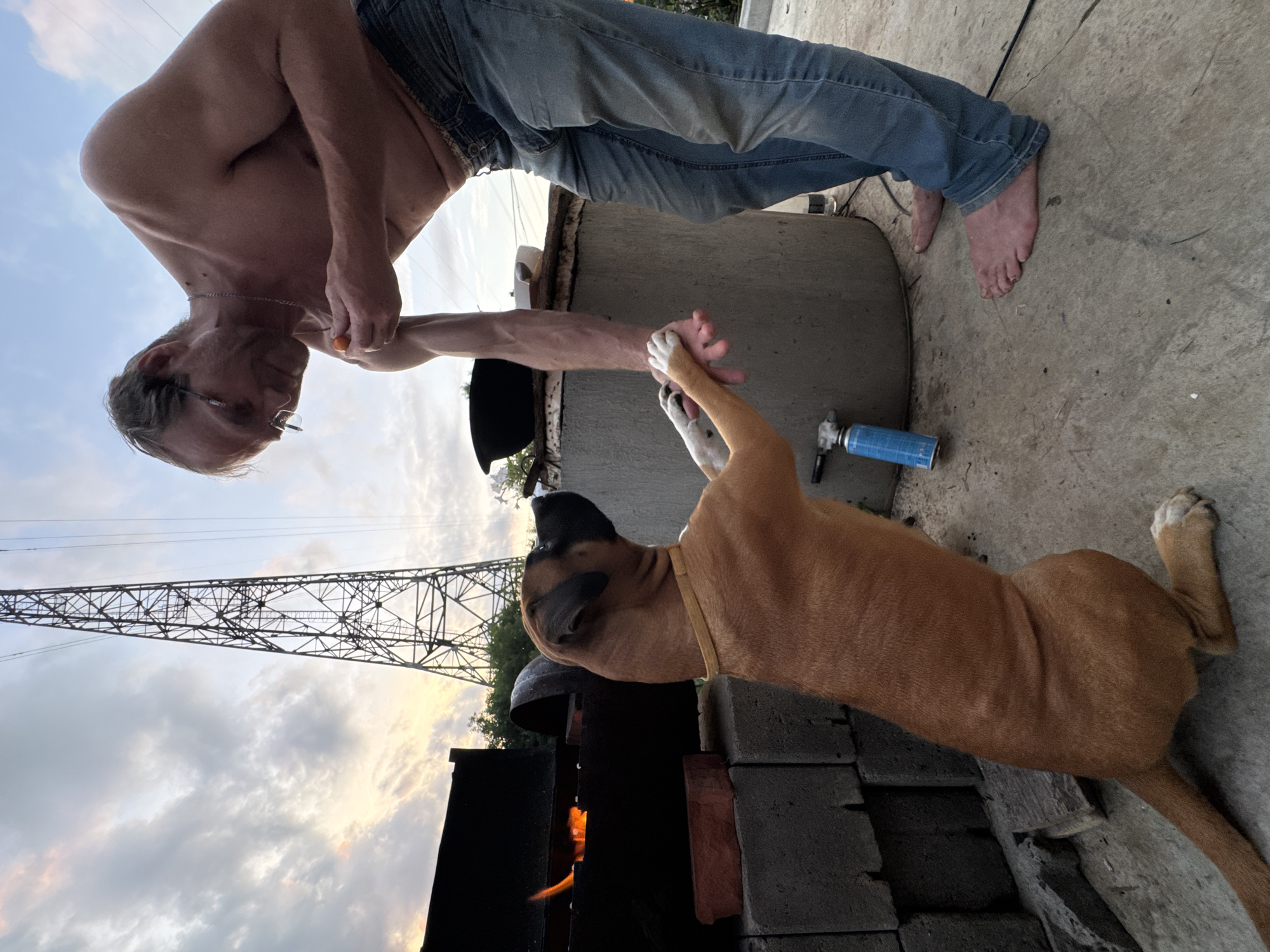 A bare-chested man wearing glasses and blue jeans interacts with a brown and white dog in an outdoor setting. The man is holding a small orange object in his right hand. The dog is standing on its hind legs, reaching out with its front paws, with one paw touching the man's hand. A large industrial tower is visible in the background, along with a cloudy sky at dusk. A barbecue grill with flames is present to the left of the man and dog, and a large concrete structure stands behind them. A blue gas canister is on the ground near the concrete structure. The ground is concrete. This scene is unlikely to be in Chaikovsky, Russia, as the environment and subjects do not suggest this location.
