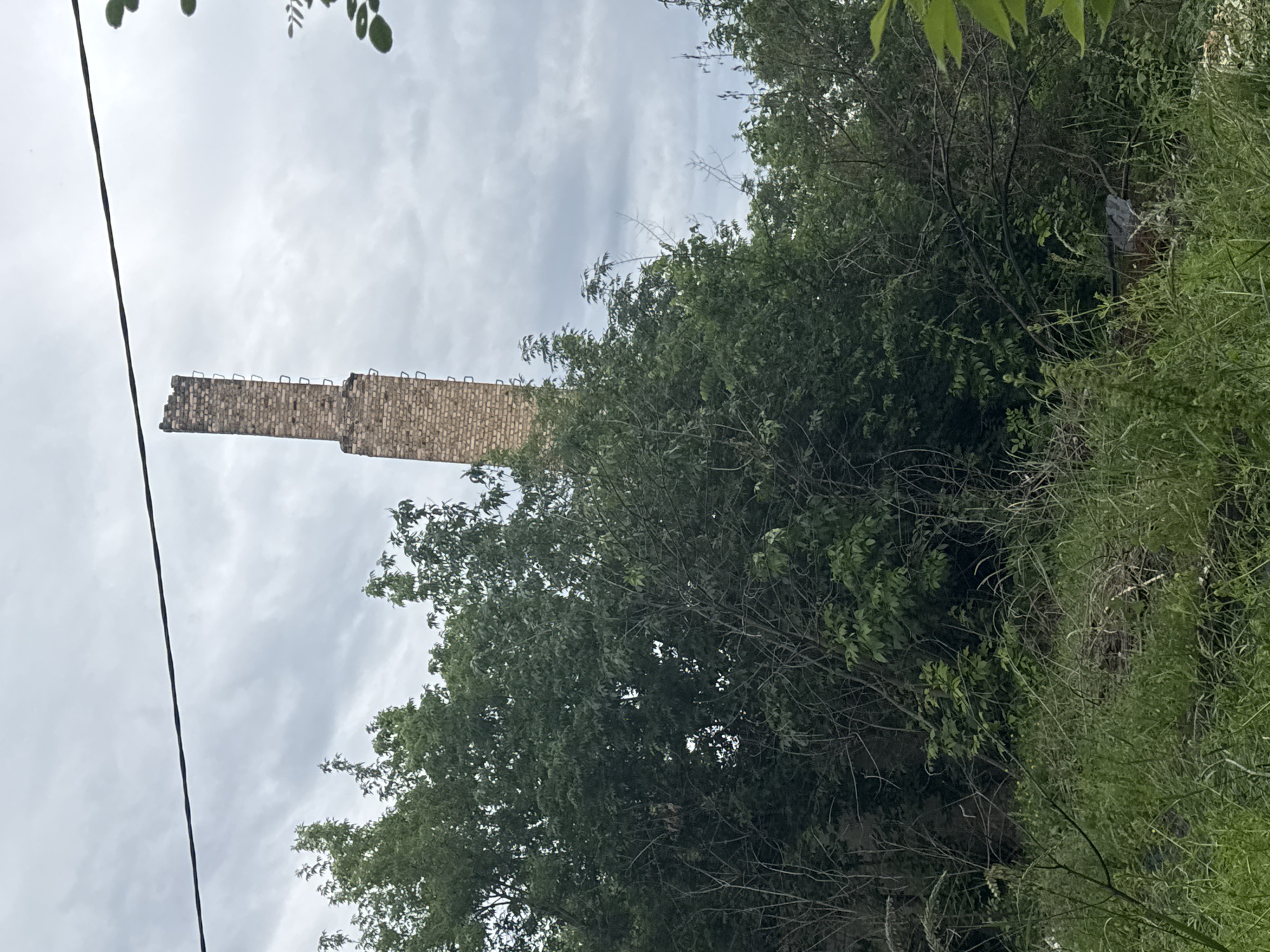 An outdoor, waist-up, medium shot captures a weathered, brick chimney rising tall amidst overgrown vegetation and a cloudy sky. The chimney, which appears to be crumbling at its peak, is accompanied by a metal ladder structure running up its side. Thick green trees and bushes surround the base of the chimney, with tall green grass and weeds covering the foreground. A dark power line cuts horizontally across the top of the frame, separating the chimney and vegetation from the overcast sky. The scene is devoid of any people, animals, or vehicles. The lighting suggests an overcast day, with diffused light and shadows.