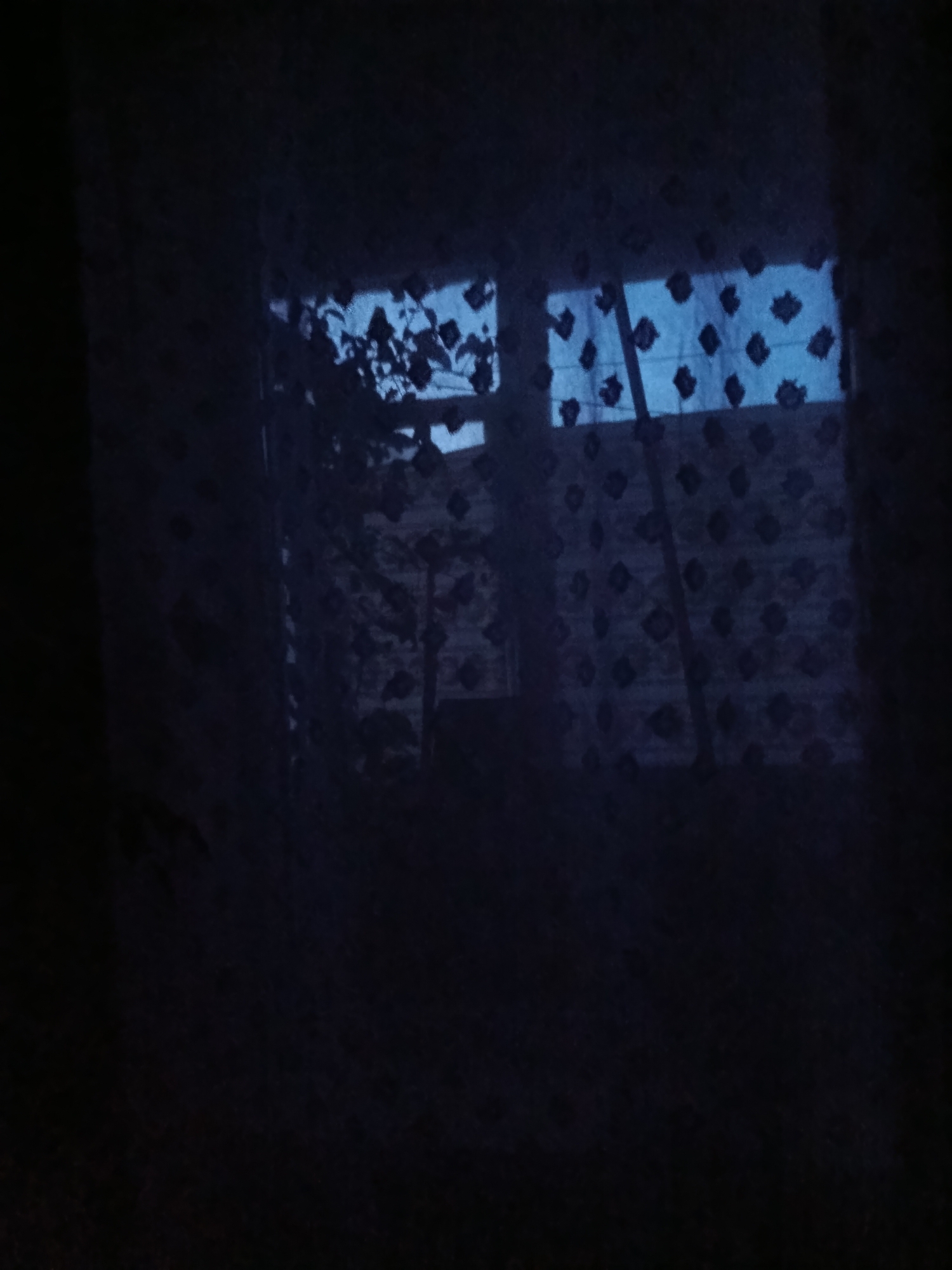 The image depicts a dark, moody scene viewed through a patterned, semi-transparent curtain. The curtain has a repeating diamond or floral motif in a darker shade. Through the curtain, a window is visible, showing a muted blue sky. Silhouettes of tree branches and leaves are visible against the sky, suggesting they are outside the window. The overall impression is one of an indoor view looking out, possibly at dusk or dawn, with the interior largely obscured by shadow and the curtain. The location in Cherkaske, Ukraine, is not visually discernible from the image itself.