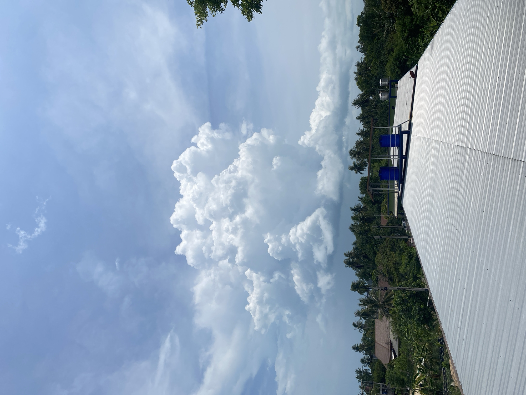 The image presents a view of Thong Sala, Thailand, under a partly cloudy sky. A large cumulus cloud formation dominates the upper left portion of the frame. To the right, a dense canopy of trees extends vertically, interspersed with palm trees. A portion of a corrugated metal roof is visible in the foreground. On the roof, blue and metallic tanks are observable.