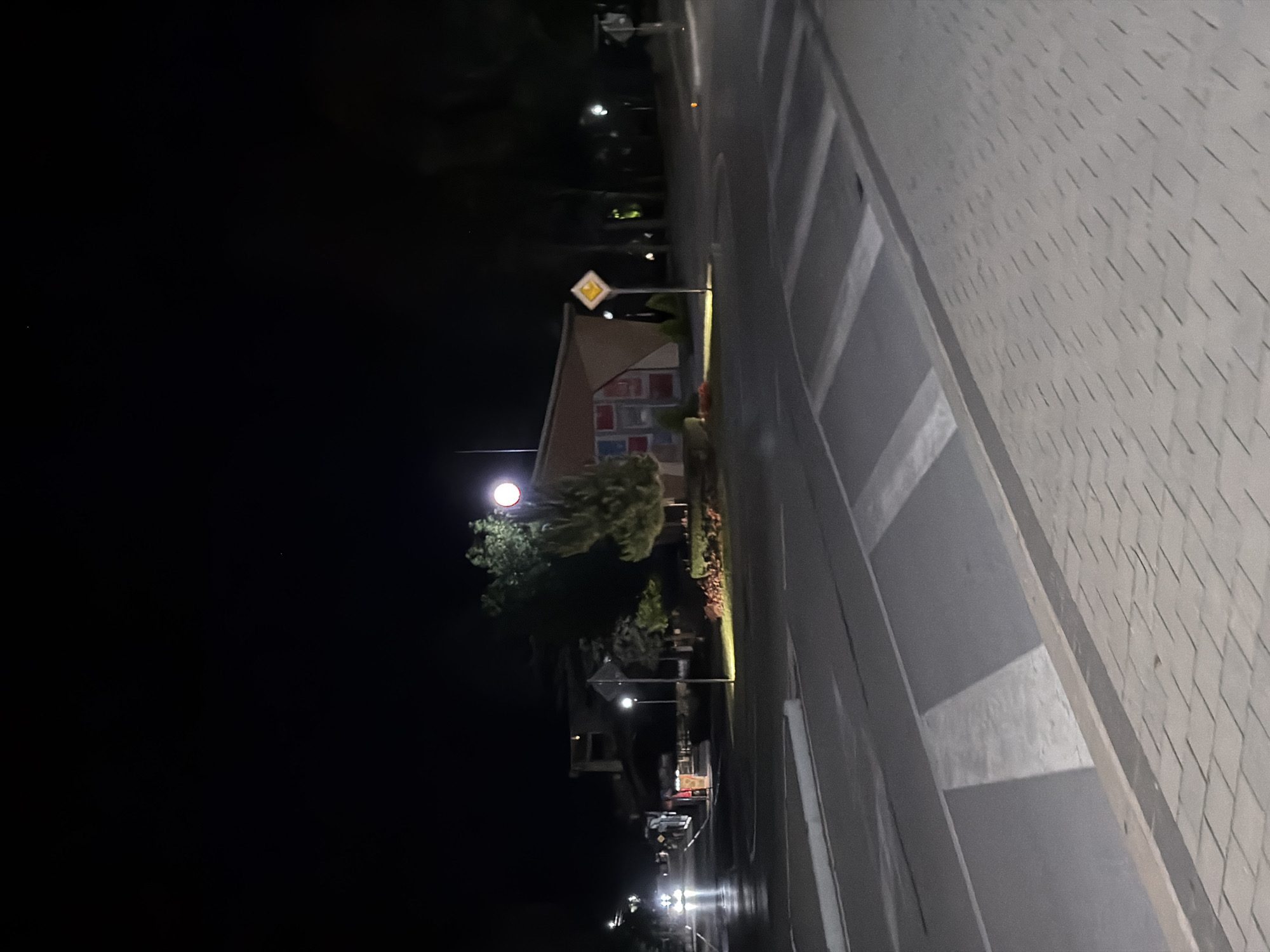 A night-time, slightly grainy, wide shot captures a crosswalk and a street in Pravets, Bulgaria. The crosswalk, illuminated by streetlights, is prominent in the foreground, with its white stripes stark against the asphalt. To the left, car headlights reflect on the wet road, suggesting recent rain or a damp surface. A small, brick-like building with colorful panels is visible in the mid-ground, partially obscured by trees. A yellow diamond-shaped traffic sign with a black arrow is mounted on a pole to the right of the building. The background consists of dark trees and the black night sky, with a bright circular streetlight illuminating a tree branch. The overall impression is of a quiet, dimly lit intersection on a cool night.
