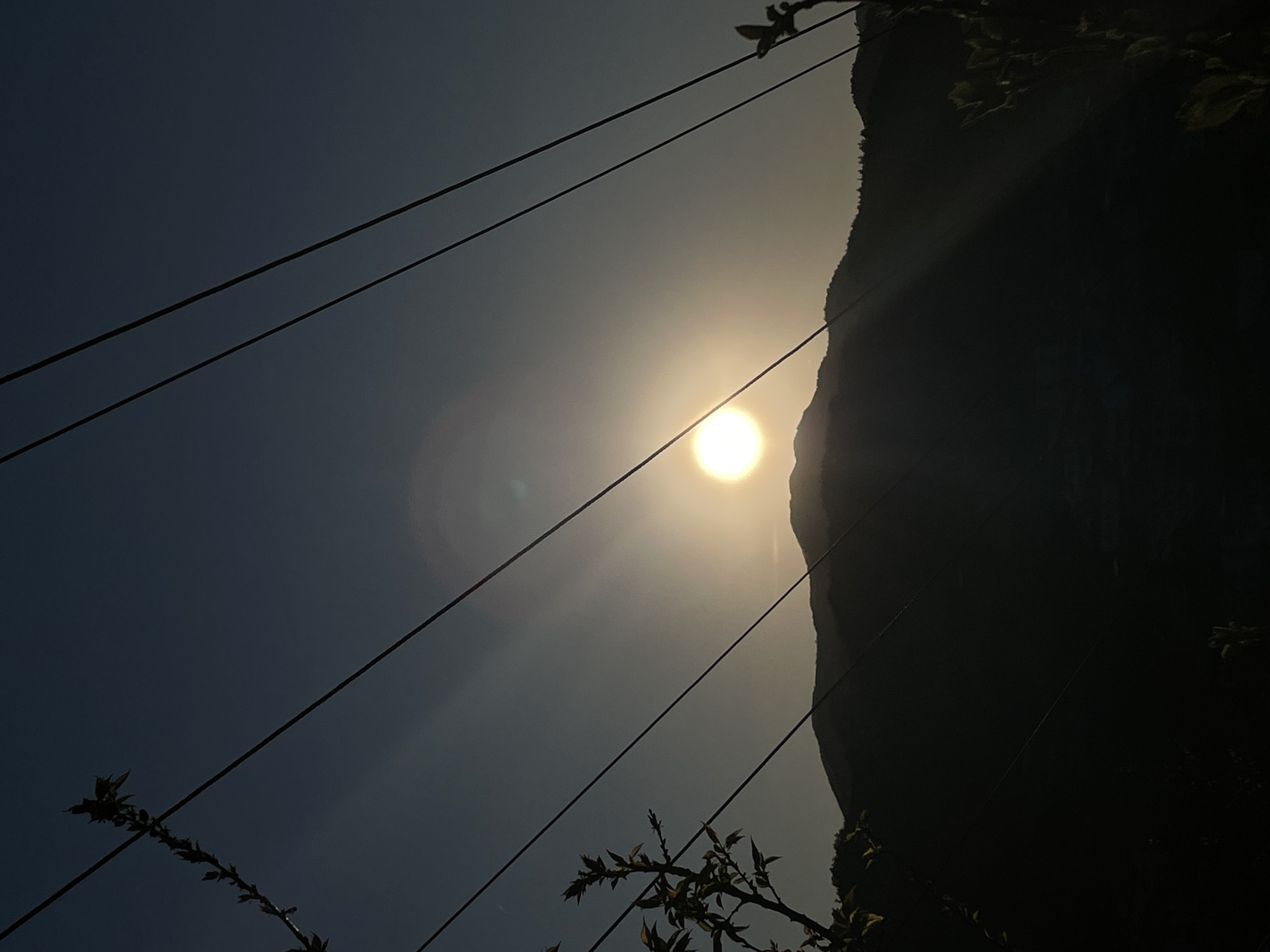 The image shows a view looking up towards the sky with a bright sun in the center, partially obscured by haze. To the right of the sun, there is a dark silhouette of a mountain or a very large hill. There are several dark, thin, parallel lines crossing the frame diagonally, which appear to be utility or power lines. Some foliage, likely branches or leaves of trees, is visible in the bottom left and bottom right corners. The photo was likely taken from Zlatograd, Bulgaria.
