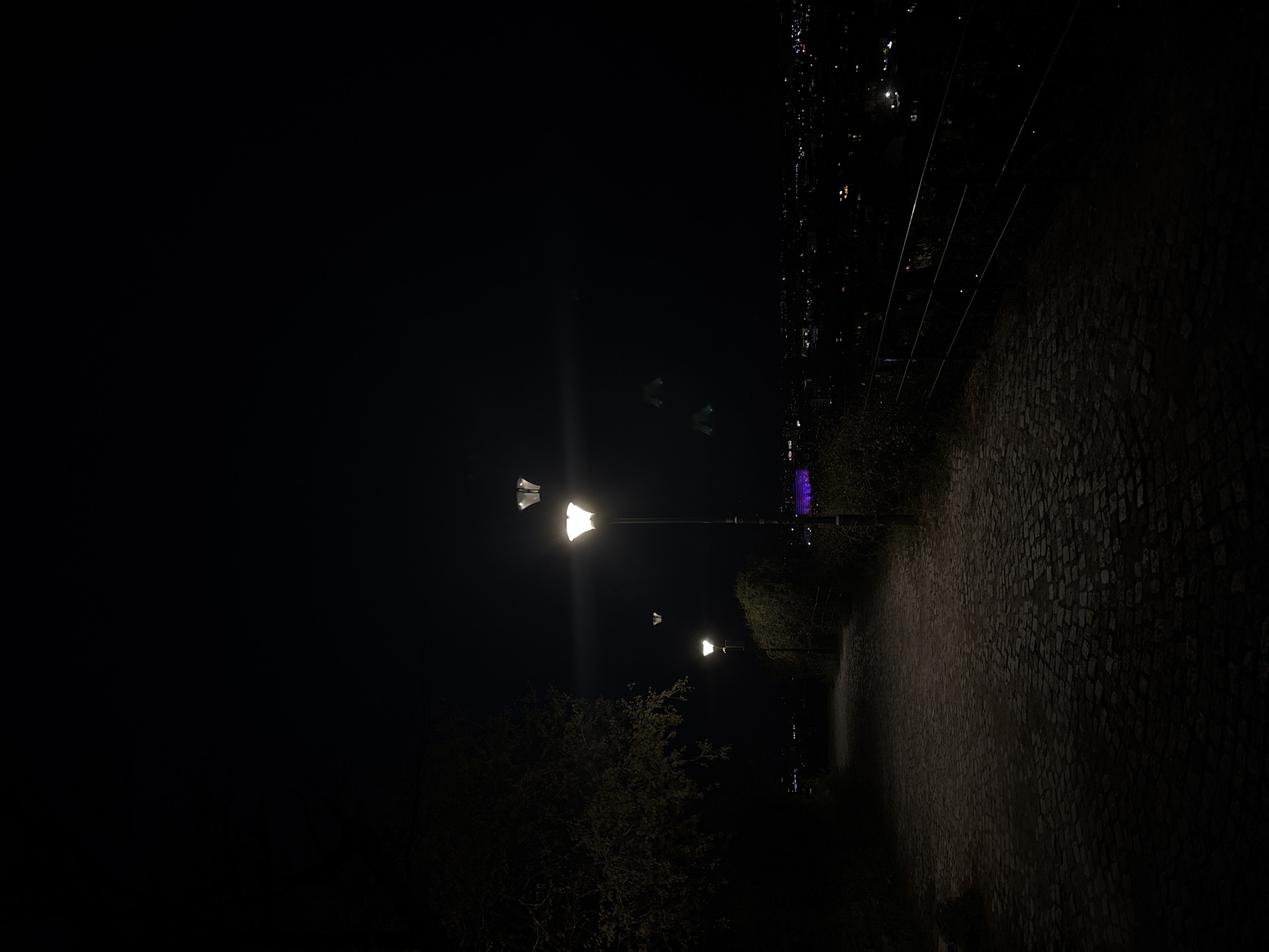 The image captures a nighttime scene of a pathway lined with old-fashioned streetlights in Plovdiv, Bulgaria. The path appears to be constructed of cobblestones, with foliage visible along its sides. In the background, city lights are visible, suggesting an elevated position or view of the city. The streetlights illuminate the path, casting a glow on the cobblestones and surrounding vegetation. The overall impression is one of a quiet, possibly historic, pathway in an urban setting at night.