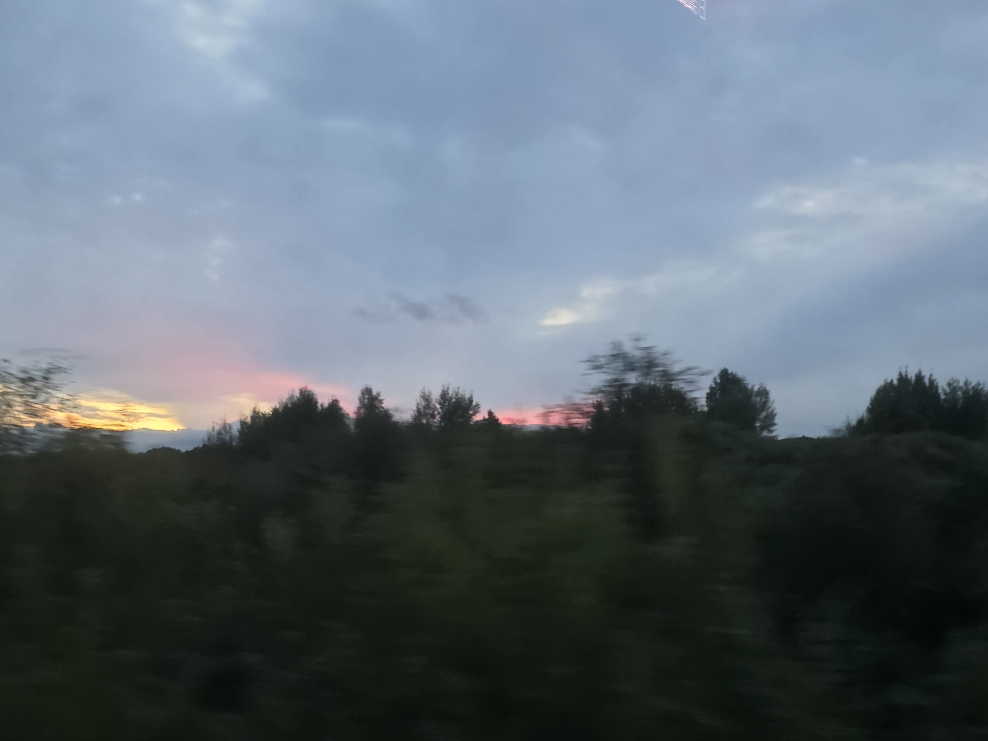 The image depicts a blurry landscape scene, likely taken from a moving vehicle, with a focus on the sky and a dark, tree-filled horizon. The sky is overcast with shades of gray and blue, with hints of pink and yellow light near the horizon, suggesting either sunrise or sunset. A band of trees, appearing dark and indistinct due to motion blur, forms the lower portion of the image. The location is identified as Volch'e, Russia. There are no discernible people, objects, or specific actions captured due to the image's lack of clarity.