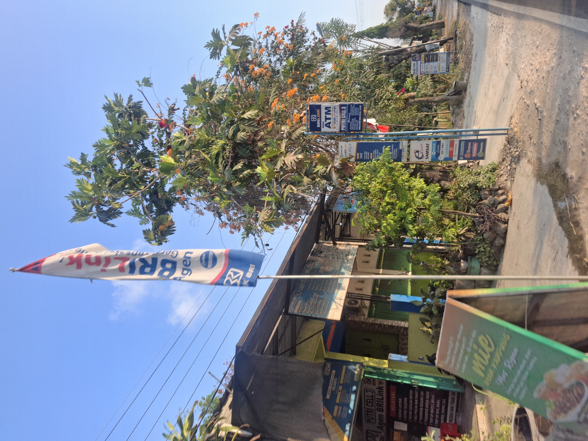 The image depicts a street scene in Sumberwudi, Indonesia. A tall, white flag with red and blue lettering, likely advertising "BRI" and "BRI Link," stands prominently in the foreground. To the left of the flag is a row of small shops with dark awnings. A green A-frame sign with text and an image of food is placed in front of one of the shops. Several blue signs are mounted on poles near the flag, advertising services like "MINI ATM" and "PUTRI CELL 3." Behind these signs, a large tree with green leaves and clusters of orange flowers or fruit is visible. The street itself is paved, with a sidewalk area and some vegetation along the side. The sky is clear and blue. The image appears to be taken during the daytime, with the sun casting shadows. There are no people clearly visible in the frame.