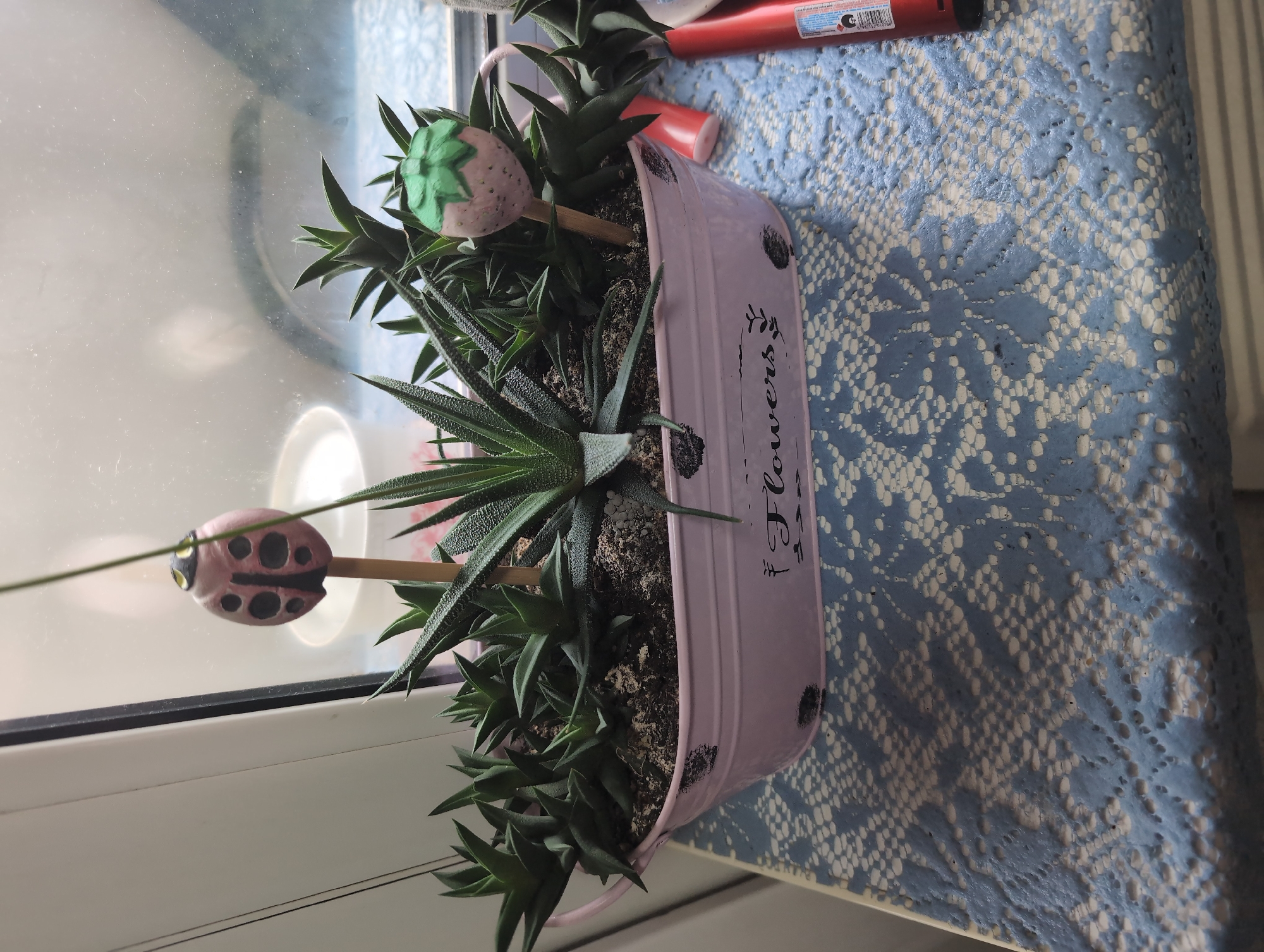 The image shows a potted succulent plant on a windowsill, likely indoors. The plant is in a pink rectangular pot with the word "Flowers" written on it. Two decorative objects, a strawberry and a ladybug on sticks, are inserted into the soil of the pot. The windowsill is next to a window, and a blue patterned tablecloth is visible on the right side of the image. Based on the provided information, the location is presumed to be Izhevsk, Russia.