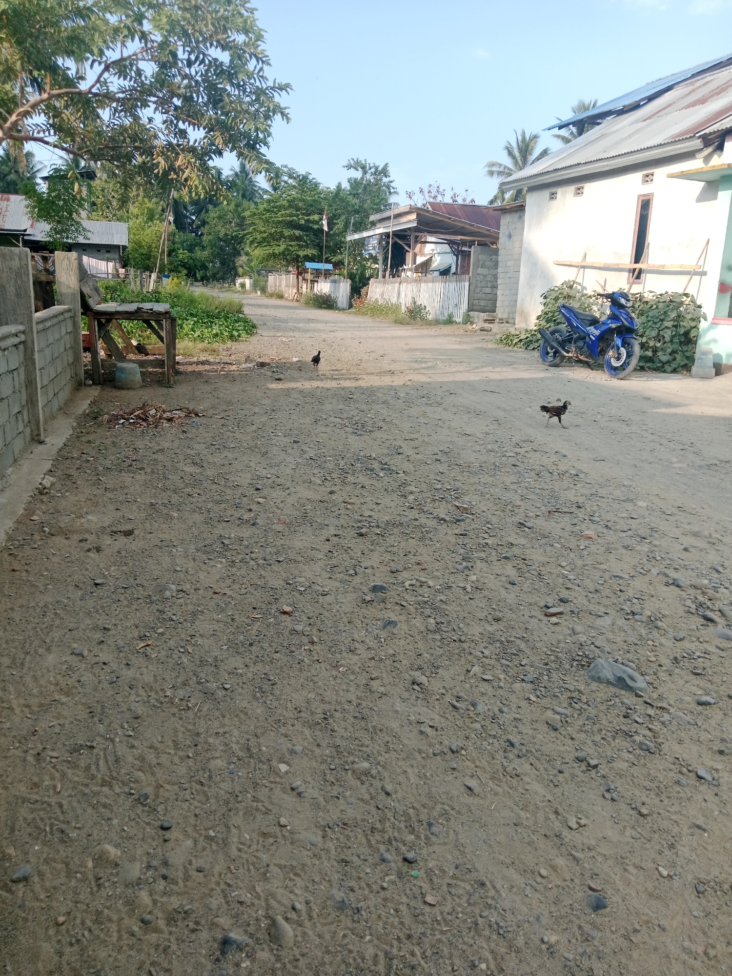 This is an outdoor, eye-level, full shot of a dirt road in Lakea Satu, Indonesia. In the foreground, the road is covered in gravel and dirt. In the mid-ground, two chickens are walking on the road. To the right, a blue motorcycle is parked next to a white house with a metal roof. In the background, there are several buildings, trees, and a clear sky. The scene appears to be during the daytime, likely in the morning due to the lighting.