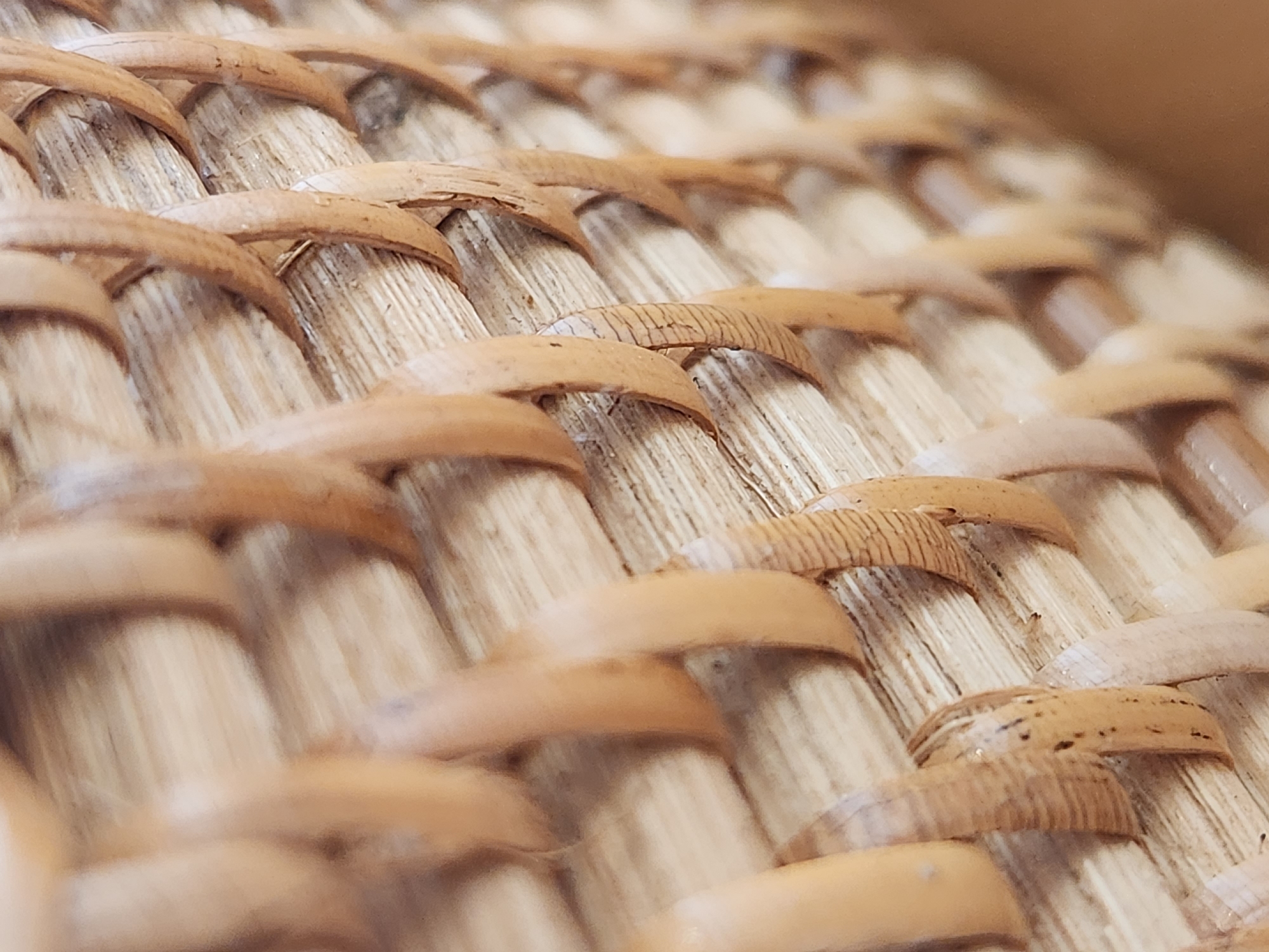 This is a close-up, eye-level, medium shot of a woven basket. The basket is made of light brown, dried reeds or rattan. The weaving technique is visible, with horizontal reeds forming the base and vertical, curved reeds woven over them. Some of the reeds show slight imperfections, such as minor fraying or dark speckles, which are natural characteristics of the material. The lighting is soft and even, highlighting the texture and natural color of the basket. The background is blurred and appears to be a solid, light brown surface, possibly a table or floor.
This image does not contain any information about the city of Maitland, United States of America, or any people or actions. It is purely a close-up view of a woven object.