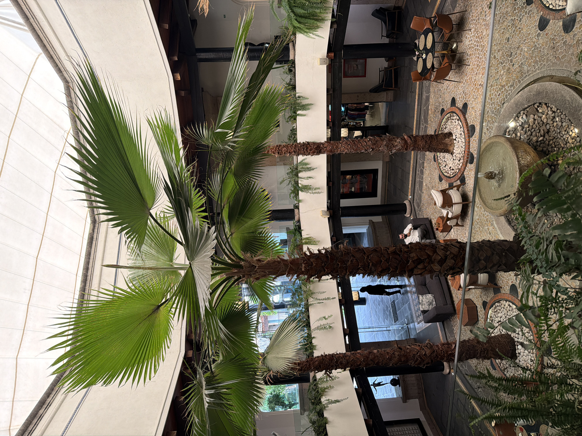 The image shows the interior of a multi-story building in San Bernardino Tlaxcalancingo, Mexico. The focus is on three tall palm trees situated in the center of an open atrium. The trees extend from the ground floor, upwards through multiple levels.
The ground floor is tiled with a mosaic pattern and features a fountain and seating areas with sofas and chairs. Above, the upper levels of the building are visible, with open walkways and windows, revealing fragments of what appear to be retail or commercial spaces.
People are present on multiple floors. At least one individual is visible walking on an upper level. Seating and tables on an upper level suggest it might be a dining or lounge area.
The architecture features exposed wooden beams and white plastered walls. Ferns and other greenery adorn the walls and railings, creating a garden-like feel within the building's interior. The space is brightly lit, either by natural light from above or artificial lighting, or a combination of both.