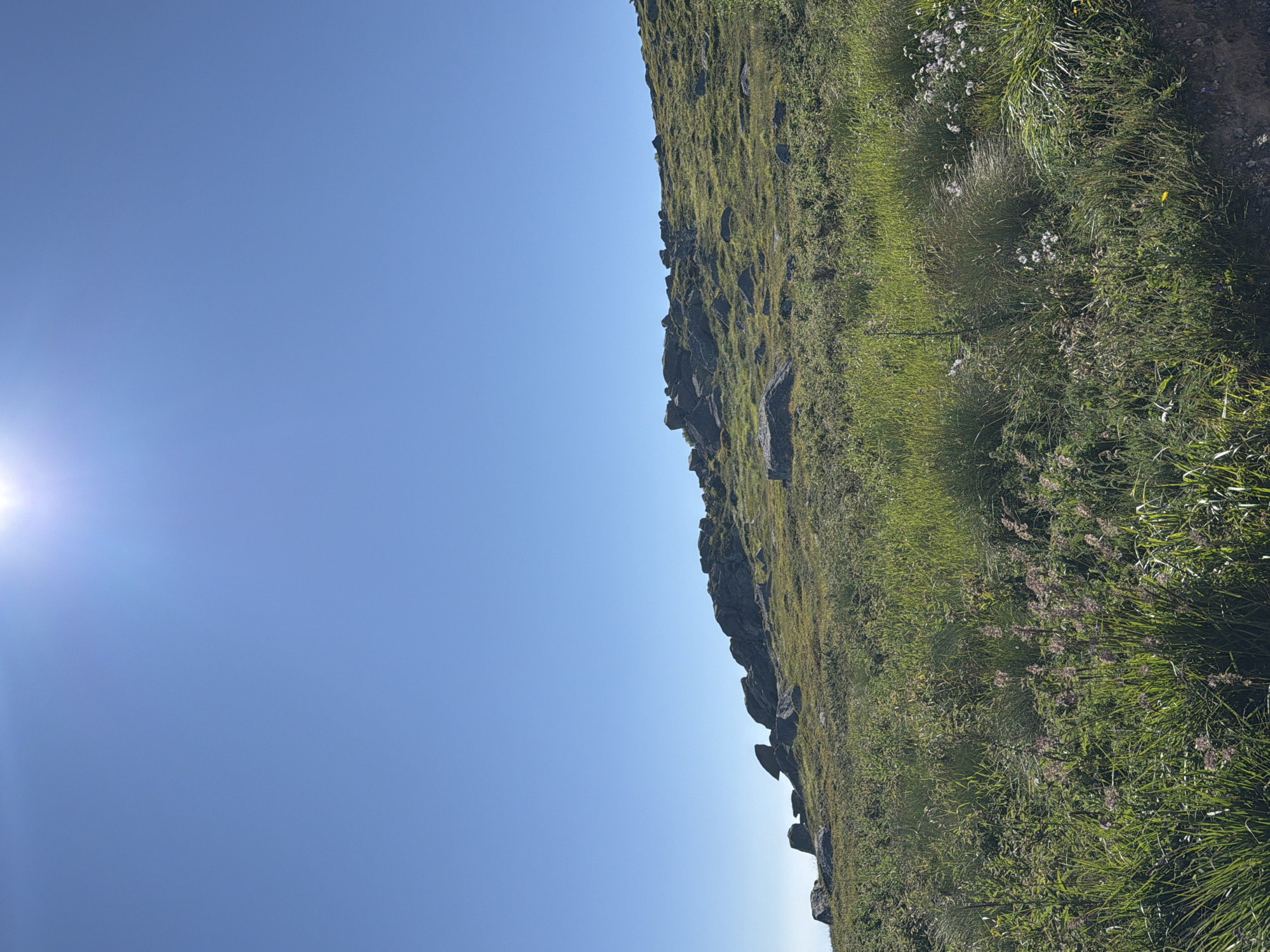 The image depicts a sun-drenched hillside in Bistritsa, Bulgaria, under a clear, bright blue sky. The foreground is filled with lush green grass and wildflowers, with some dry stalks interspersed. In the middle ground, the terrain slopes upwards, covered in a mix of green vegetation and scattered grey rocks. The background is dominated by a rocky ridge that forms the crest of the hill, with more large stones and patches of grass. The sun is a bright, hazy disc in the upper left portion of the sky, casting a strong light that illuminates the landscape. The scene appears to be a natural, undeveloped area, possibly a hiking trail or a mountain pasture. There are no people or animals visible in the image.