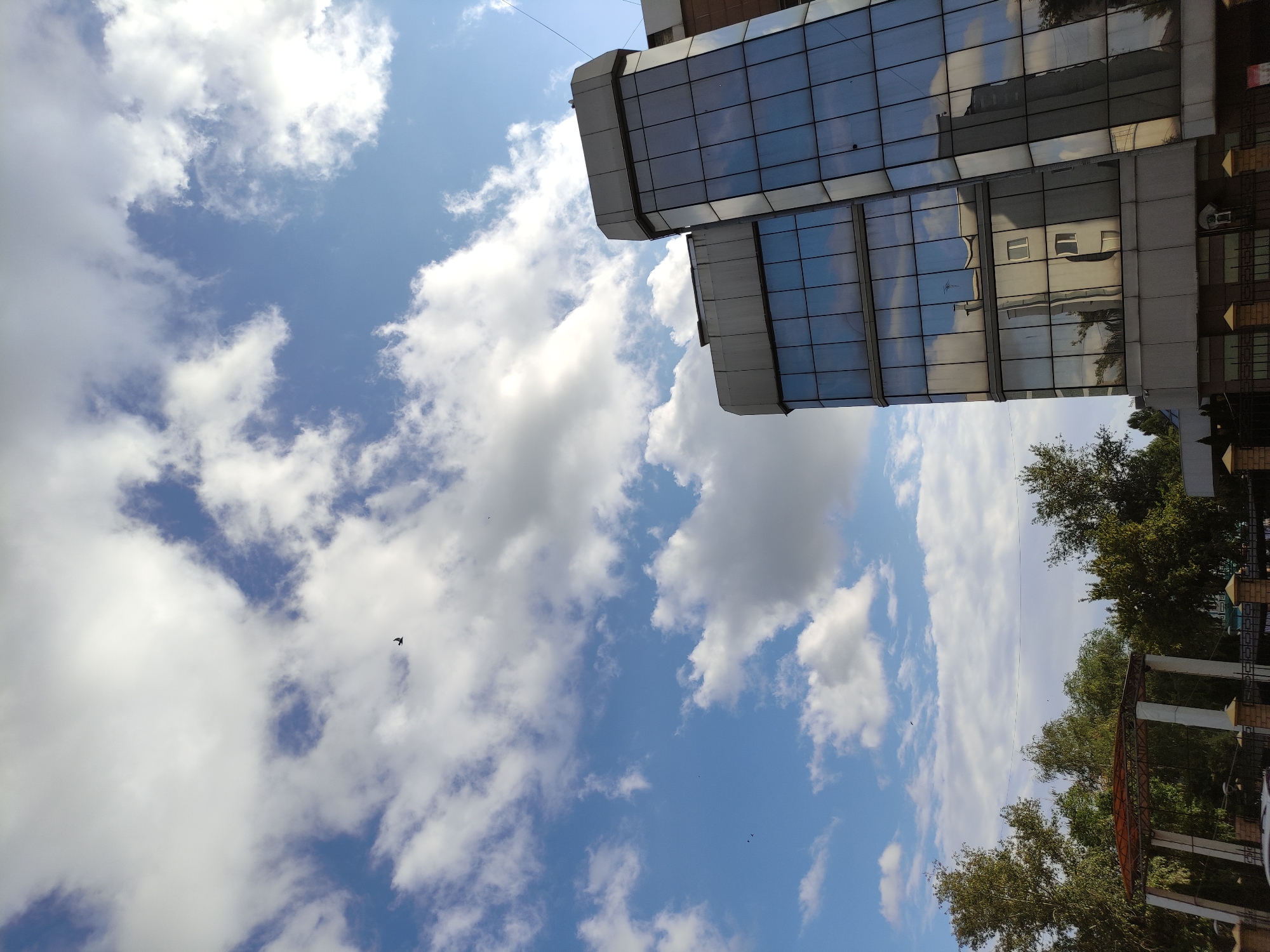 A low-angle shot captures a modern, multi-story glass-fronted building situated in Semey, Kazakhstan. The building's reflective facade mirrors a partly cloudy blue sky, with several white cumulus clouds scattered across it. A lone dark bird is visible in flight against the sky in the upper left quadrant. Trees line the lower portion of the image, partially obscuring a fence and an open-air structure with a red roof supported by white pillars, suggesting a park-like or public space adjacent to the building. The overall impression is one of an urban setting with a focus on contemporary architecture and the sky above.