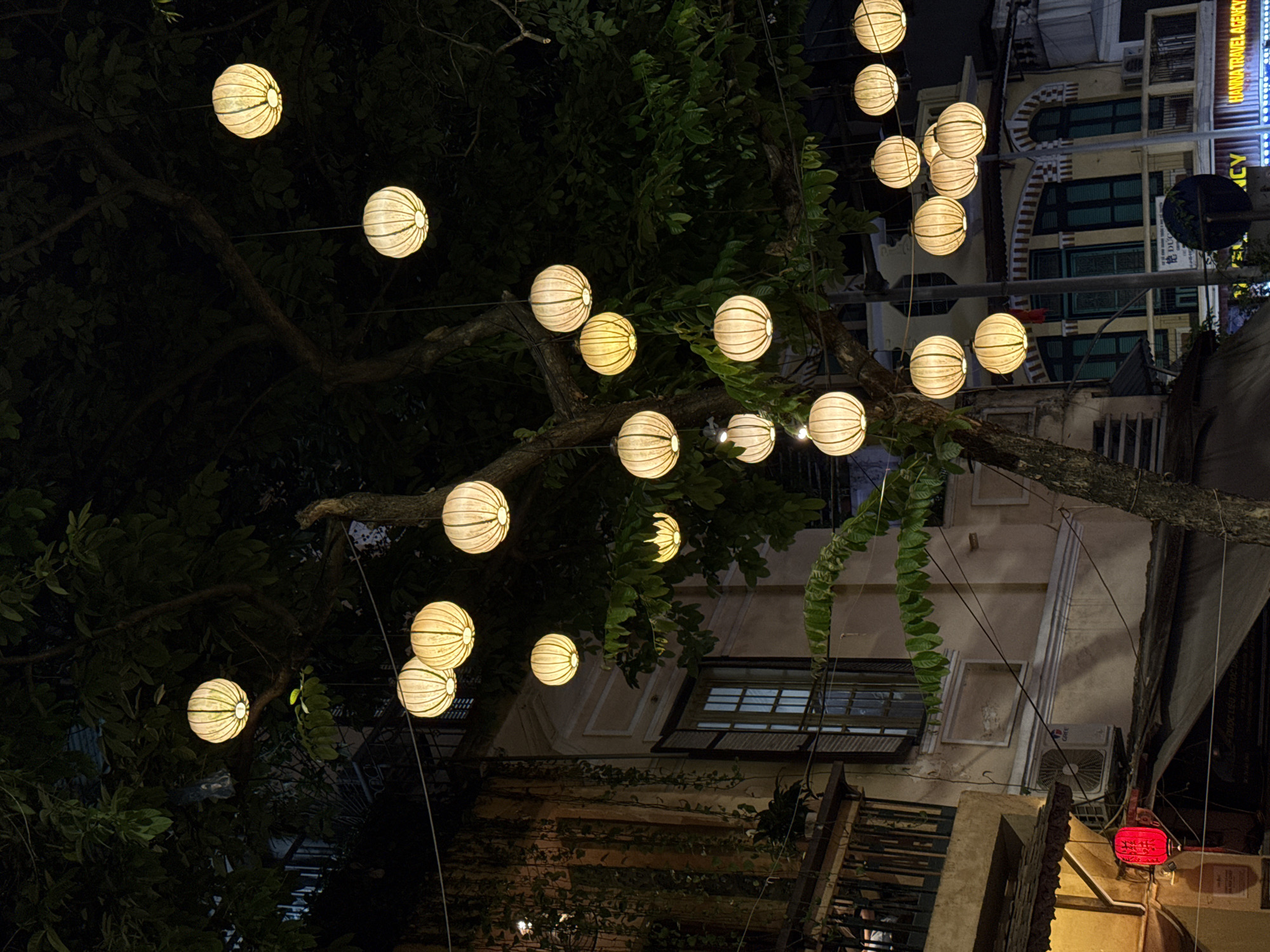 The image captures an evening scene in what appears to be a street or alleyway in Hanoi, Vietnam, given the provided context. Numerous spherical, ribbed lanterns, glowing with a warm, off-white or yellowish light, are strung across the dark, leafy branches of a large tree, creating an enchanting canopy. The tree's dense foliage is predominantly dark green, silhouetted against the night sky and partially illuminated by the lanterns.
In the background, multi-story buildings are visible, showing signs of wear and featuring various windows, air conditioning units, and some decorative architectural details, including arched motifs on one building. The general ambiance suggests a bustling urban environment at night.
A prominent blue neon sign on one of the buildings clearly displays the text "HANNA TRAVEL AGENCY". Towards the bottom right of the image, a distinct red lantern hangs, and faint Vietnamese characters, possibly "PHO", can be discerned on its surface, although not fully legible. No specific activity or people are directly visible, but the illuminated lanterns indicate an inviting and lively evening atmosphere. The time of day is clearly night, with the artificial lights providing the primary illumination.