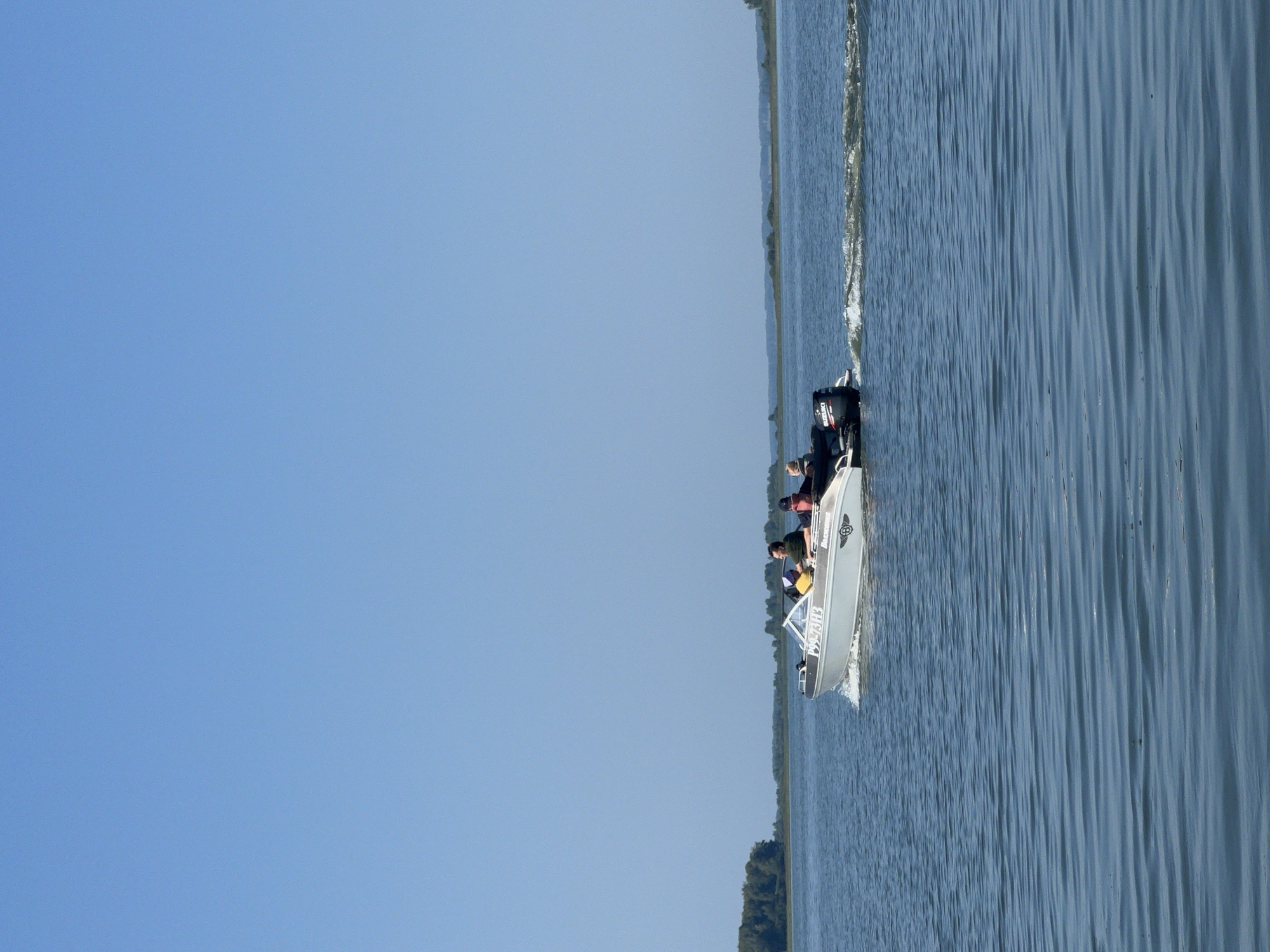 A motorboat with at least three occupants is traveling across a body of water. The boat is silver with a black interior and a white windshield. One person is at the helm, and another two are seated behind. The boat has a Suzuki outboard motor. The water is calm with small ripples. In the background, a treeline is visible on the horizon, suggesting a natural landscape. The sky is clear and blue. The scene appears to be taking place on a sunny day. The location is the city of Novopichugovo, Russia.
