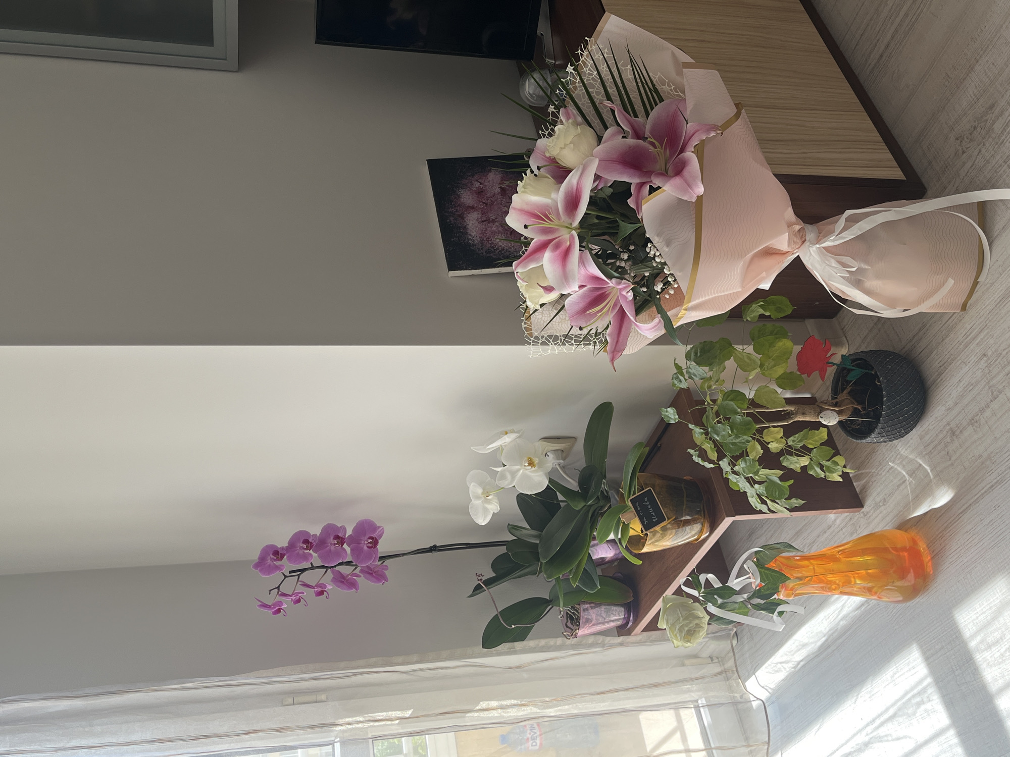 The image depicts a domestic interior setting. A bouquet of pink and white lilies and roses, wrapped in pink paper with a white ribbon, sits atop a wooden cabinet. Below, near a window covered by a sheer white curtain, are several potted plants including purple and white orchids and a green leafy plant on a wooden shelf. An orange vase with a white rose and green leaves is also visible. There is no clear indication of a location within the city of Blagoevgrad, Bulgaria. The scene appears to be indoors during the daytime, given the natural light coming through the window. No people are visible.