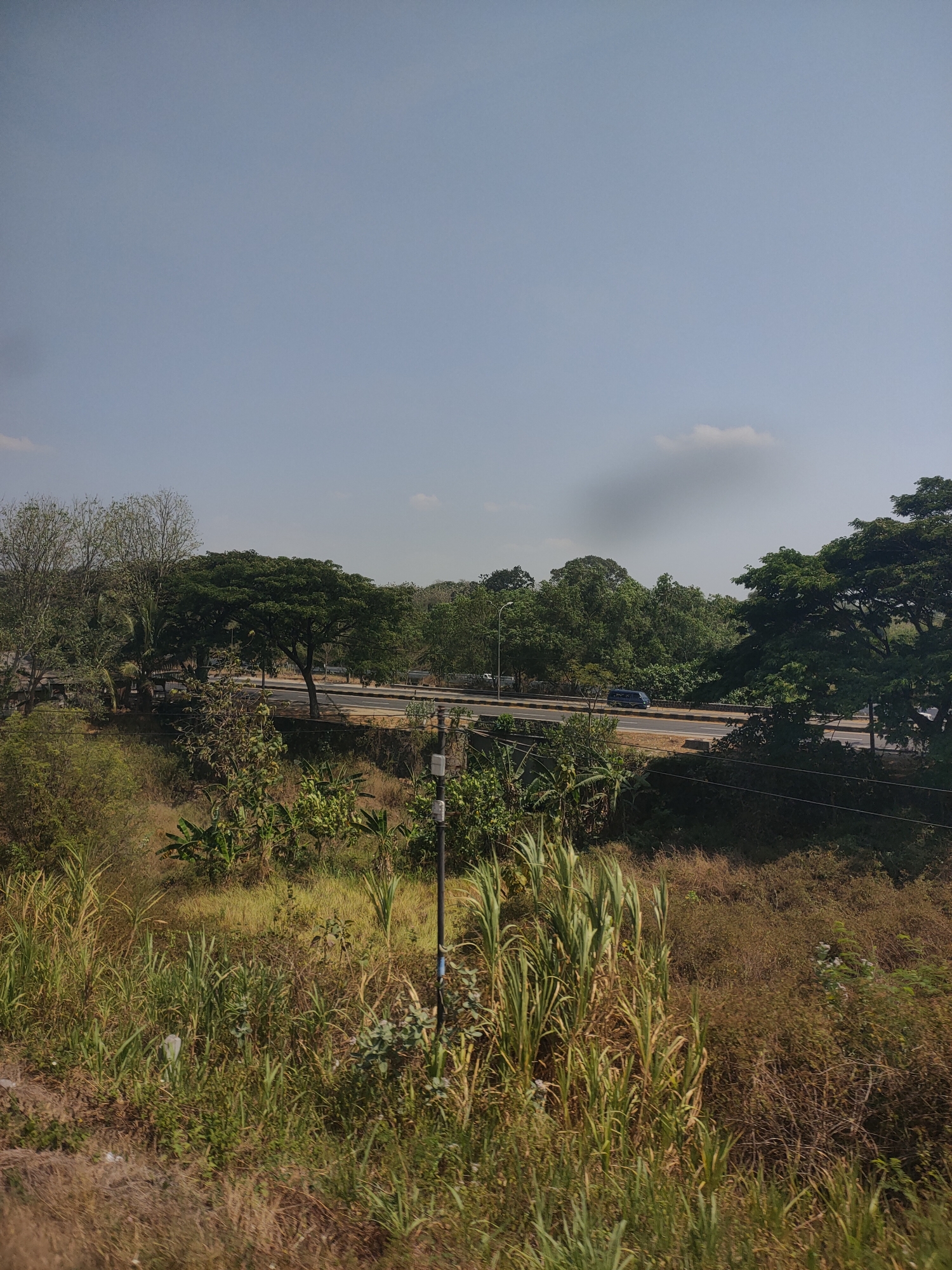 An outdoor, eye-level, medium shot shows a bright, hazy day with a clear, light blue sky dominating the upper half of the frame. Below the sky, a tree-lined road runs horizontally across the middle of the image. The road is paved and appears to have multiple lanes, with vehicles visible in the distance. Lush green foliage of various trees and bushes lines the road, with some trees exhibiting a dense, full canopy. In the foreground, a thick growth of tall, dry grasses and some lighter green vegetation creates a natural barrier. A utility pole with some wiring is visible on the right side of the foreground. The overall scene suggests a rural or semi-urban environment, possibly on the outskirts of a city, characterized by a blend of natural and developed elements. The lighting indicates it is daytime, with the haze suggesting a warm climate or atmospheric conditions.