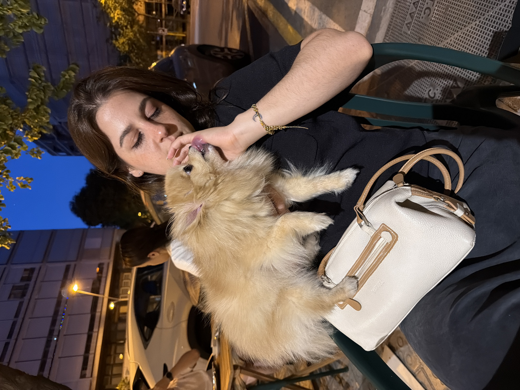 In Barcelona, Spain, at dusk, a young woman sits on a dark green chair, holding a fluffy Pomeranian dog. The dog, with light brown fur, is licking the woman's hand. The woman, wearing a black top, has her eyes closed and a slight smile. She has freckles and is wearing a gold bracelet with a crescent moon charm. A white handbag with tan leather accents rests on her lap. In the background, a white car is parked, and a building with many windows is visible. The streetlights are on, illuminating the scene. The ground is paved with hexagonal tiles, and a metal grate is also visible. Trees with yellowing leaves are in the upper right corner.