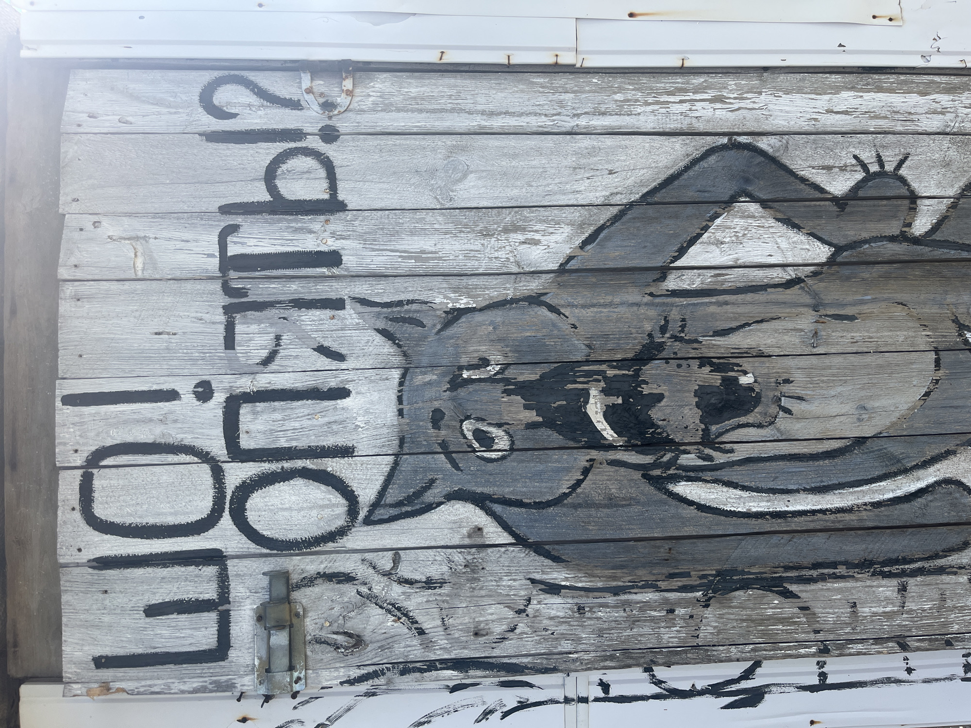 The image depicts a weathered wooden surface, likely a door or wall, adorned with black graffiti and a crude drawing of an animal. The graffiti, written in large, bold Cyrillic letters, reads "ШО! ОПЯТЬ!?" which translates to "WHAT! AGAIN!?". The drawing features a caricature of a wolf-like creature with an open mouth, wide eyes, and paws on its hips, appearing distressed or surprised. The wood is grey and textured, showing signs of age and exposure to the elements, with some peeling paint or whitewash. The scene appears to be outdoors, with a glimpse of a white metal structure to the right, possibly part of a building or fence. The overall impression is one of urban decay and artistic expression. This image was captured in Preobragenskaya, Russia.