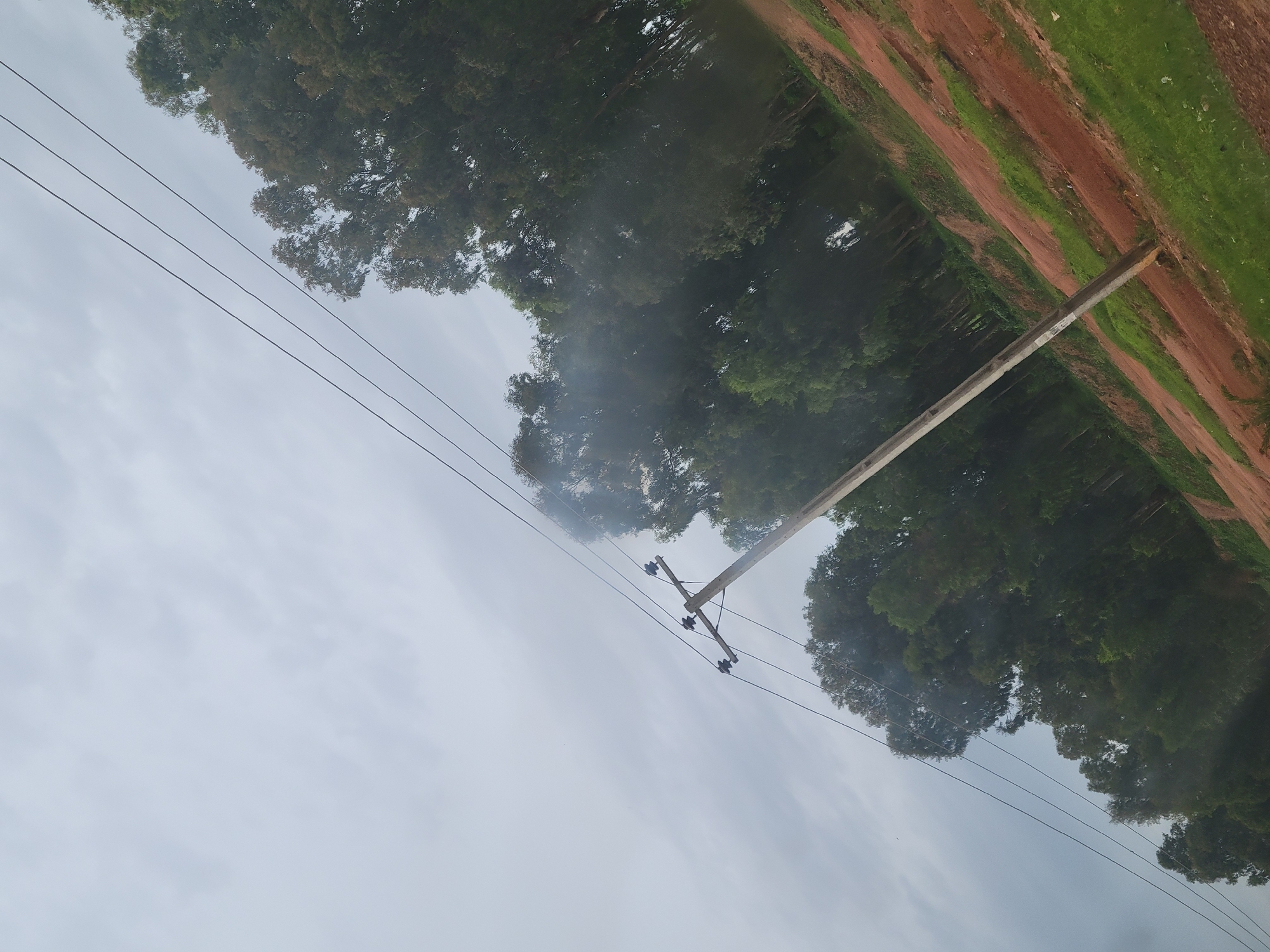 The image displays a utility pole with power lines running across a cloudy sky. The pole is made of concrete and is situated in a rural setting. To the right of the pole, a dirt path winds through patches of green grass and reddish-brown soil. A dense line of trees with dark green foliage forms a backdrop behind the path and extends into the distance. The overall scene suggests an outdoor environment, possibly during daylight hours given the illumination. There is no visible text in the image. The orientation of the image is rotated, with the sky appearing on the left and the ground on the right.