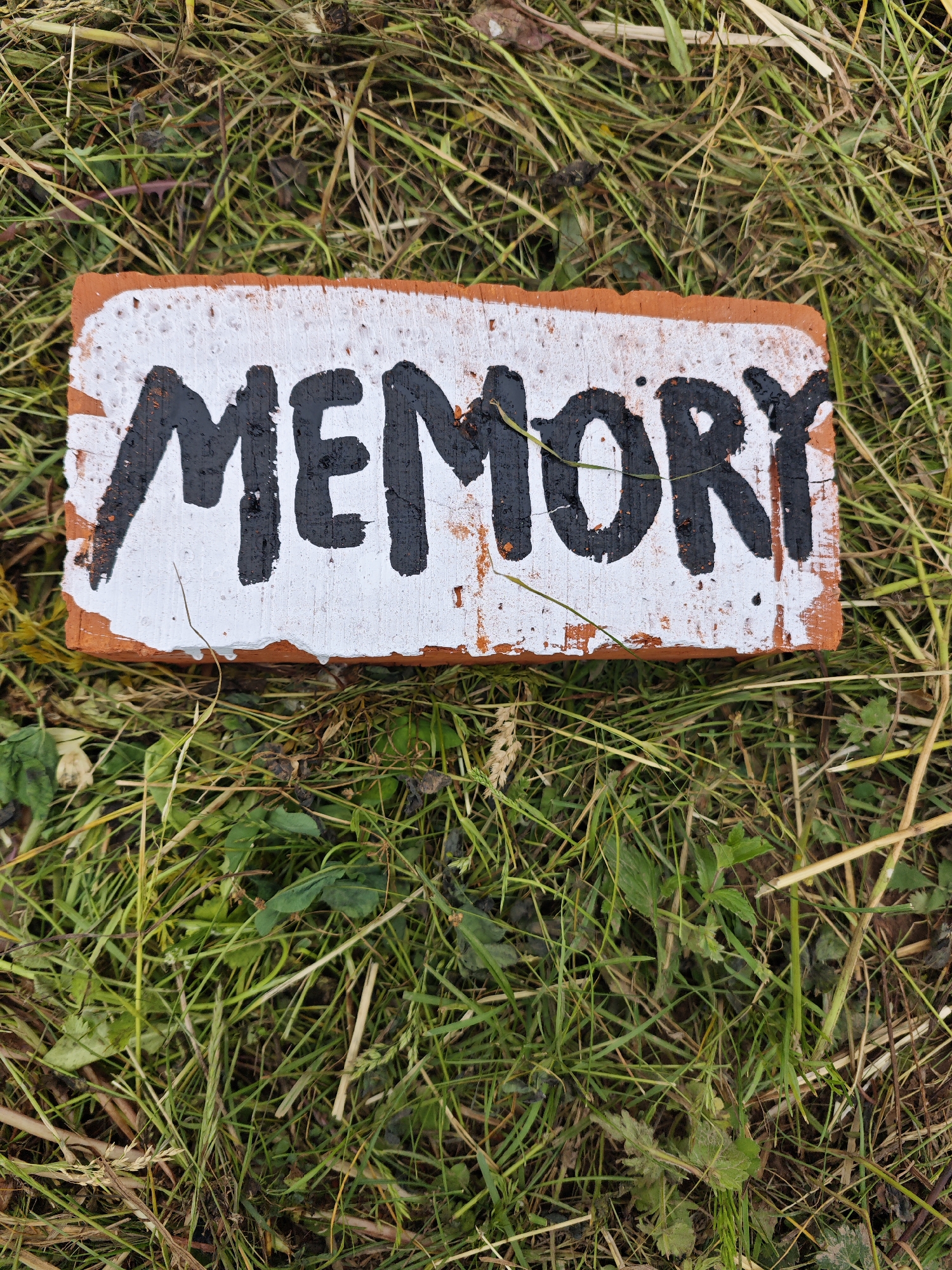 Memory