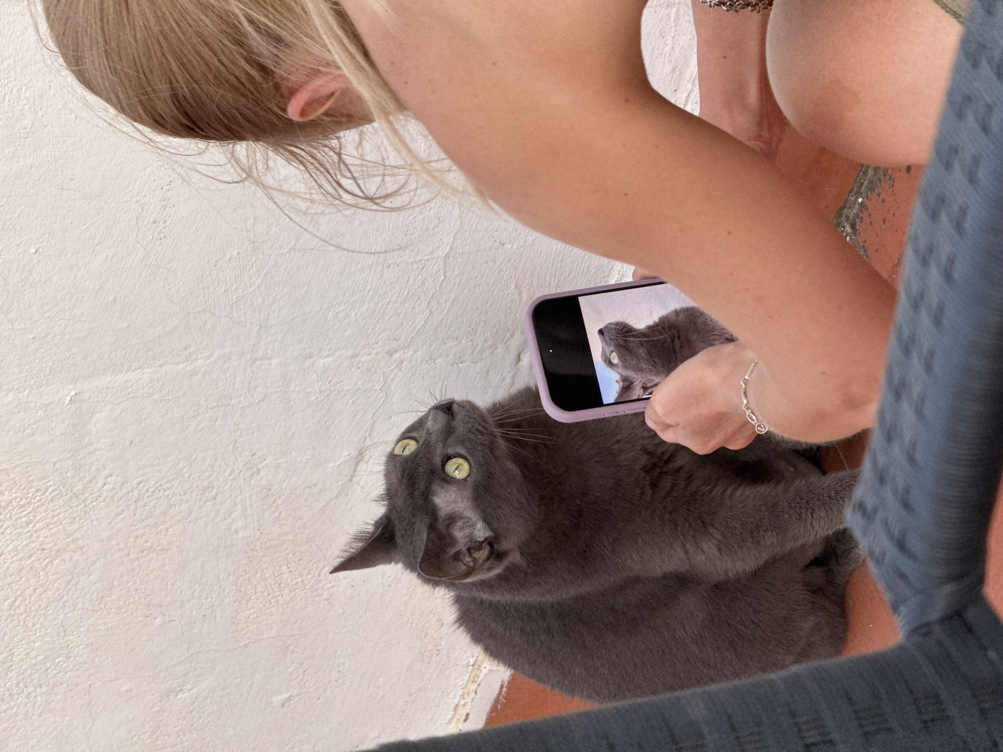 In Torrevieja, Spain, a young person with blonde hair is taking a photo of a grey cat with bright green eyes. The cat is sitting on a reddish-orange tiled surface, looking upwards and slightly to the right. The person is holding a smartphone, which displays a picture of the same cat looking in the same direction. The background consists of a textured white wall. A dark grey chair is partially visible in the foreground.