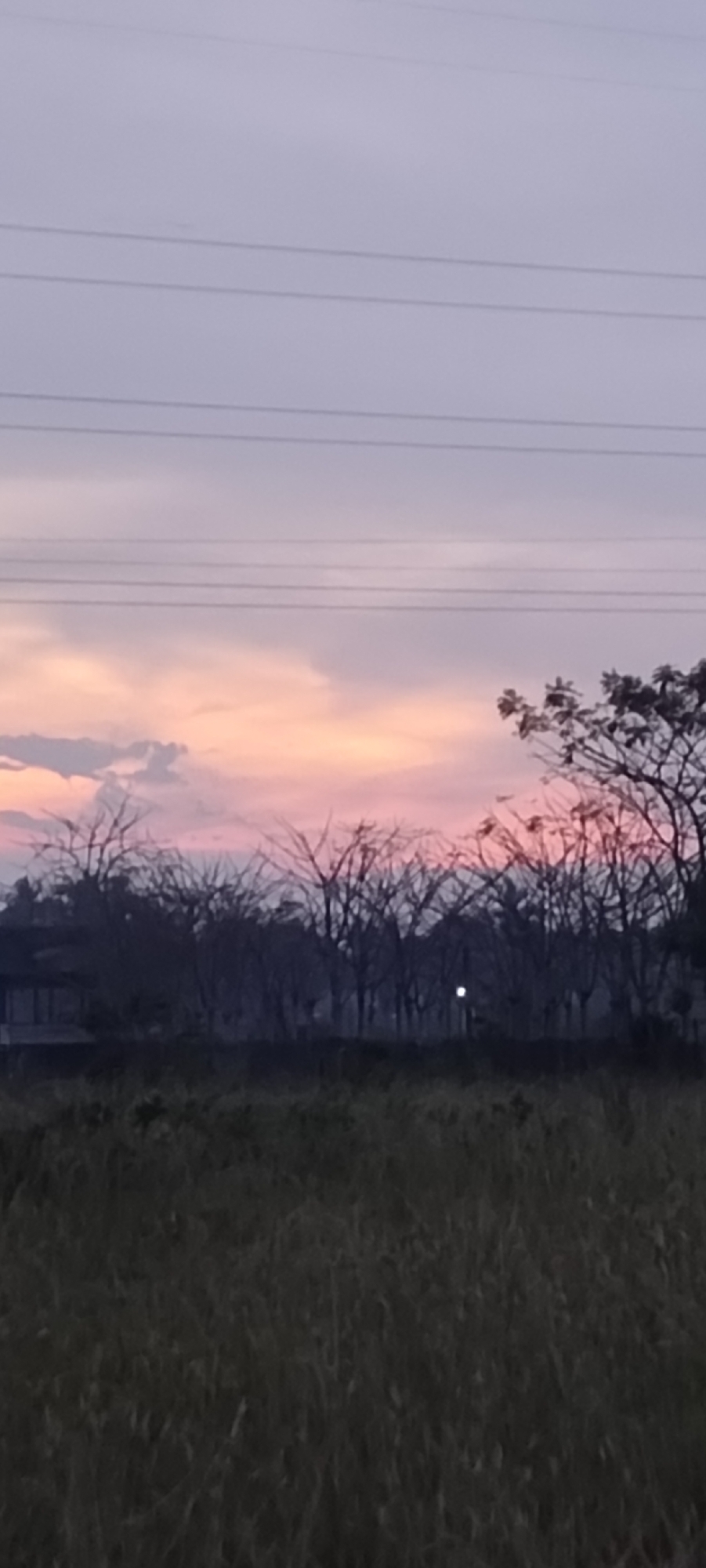 The image depicts a twilight scene with a field of tall grass in the foreground. A line of trees is visible in the middle ground, silhouetted against the pink and purple hues of the sky. Overhead, electrical power lines stretch across the upper portion of the frame. A single, bright light is visible among the trees. The location is Lhokseumawe, Indonesia.