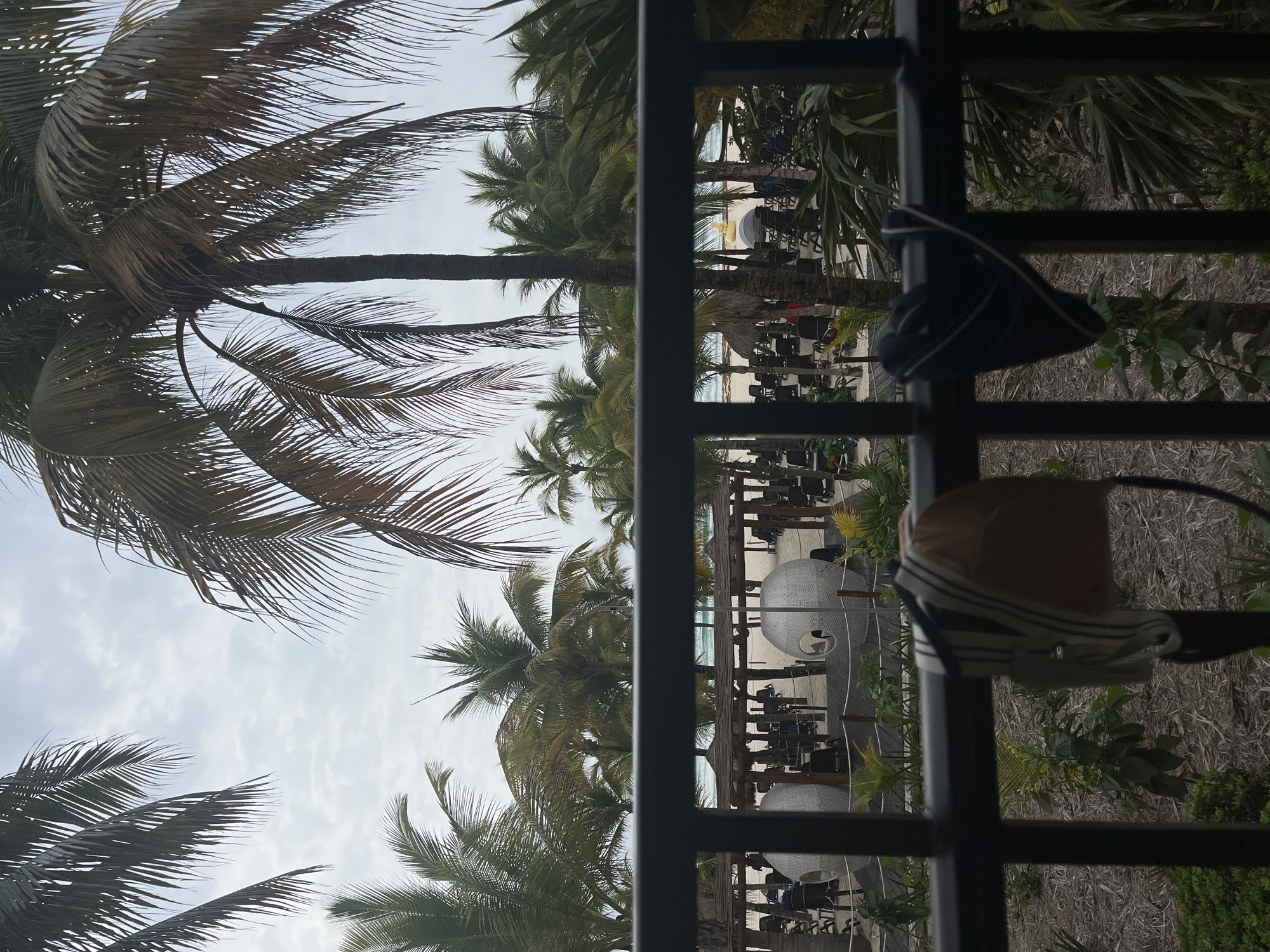 A view from a balcony overlooks a beach in Playa del Carmen, Mexico. The foreground includes a black metal railing with two hats hanging on it. Beyond the railing, palm trees are visible, extending towards the cloudy sky. The beach area has lounge chairs and shaded areas, possibly for tourists. The scene is captured from a high vantage point, providing a partial view of the landscape.