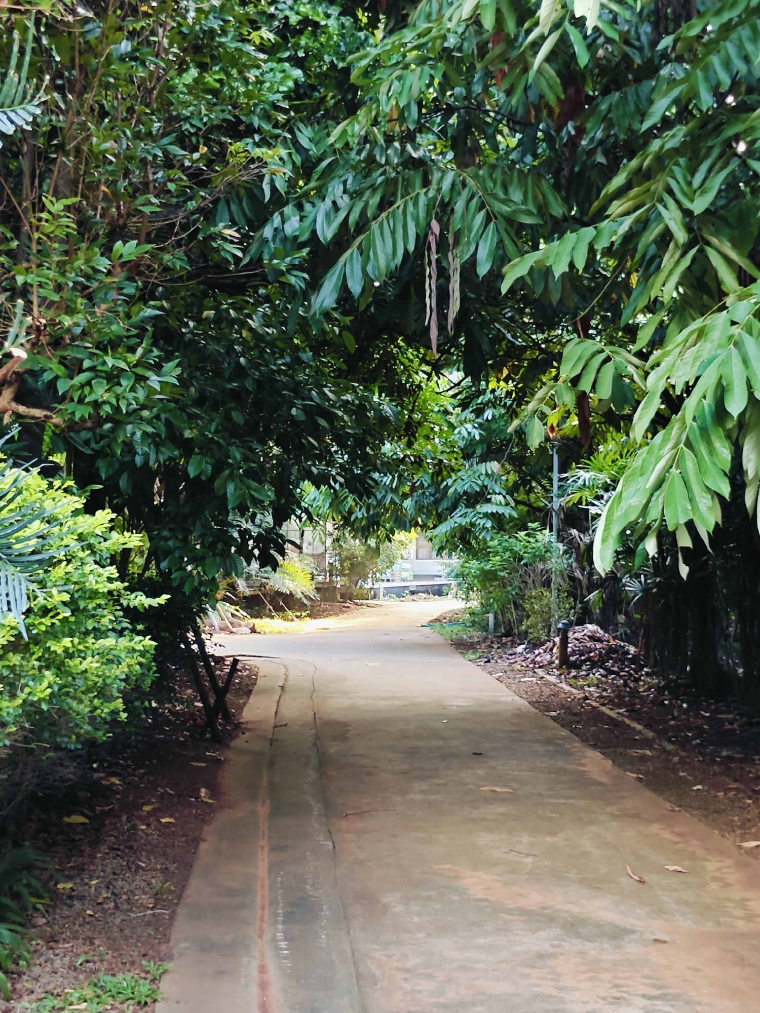 A paved pathway curves through a lush, green environment. Dense foliage from trees and bushes overhangs the path, creating a natural canopy. The path appears to be in a park or garden setting, possibly in the Mu Si district of Thailand, given the tropical vegetation. Sunlight filters through the leaves, casting dappled shadows on the ground. No people or animals are visible in the image. The scene suggests a quiet, natural area.