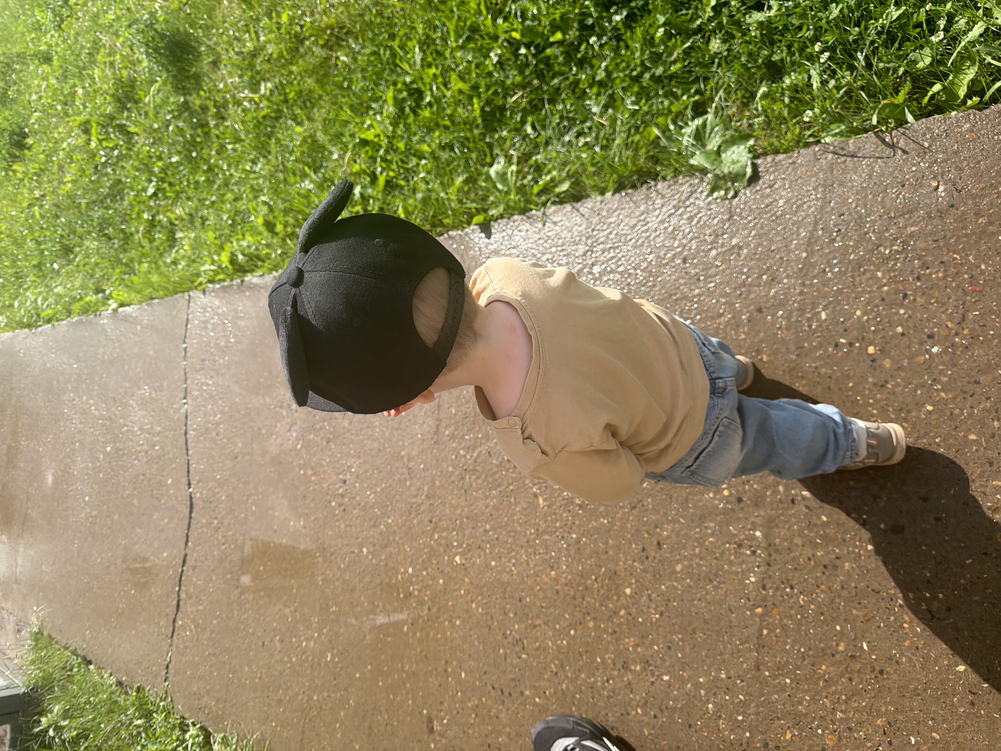 A young child, viewed from behind, stands on a wet sidewalk next to a patch of vibrant green grass. The child is wearing a tan long-sleeved shirt, light blue jeans, and a black baseball cap with ear-like protrusions. The sidewalk appears to be made of concrete with visible pebbles and a prominent crack running across its surface. Puddles of water reflect the bright sunlight, suggesting recent rain. To the right of the sidewalk, the grass is lush and appears to have dew or moisture on it, with a few small white flowers scattered throughout. The overall scene suggests a sunny day after a rainfall, possibly in a residential or park area. There is no specific indication of the location being within the city of Chaikovsky, Russia, as the image lacks any identifying landmarks or contextual elements to confirm this.