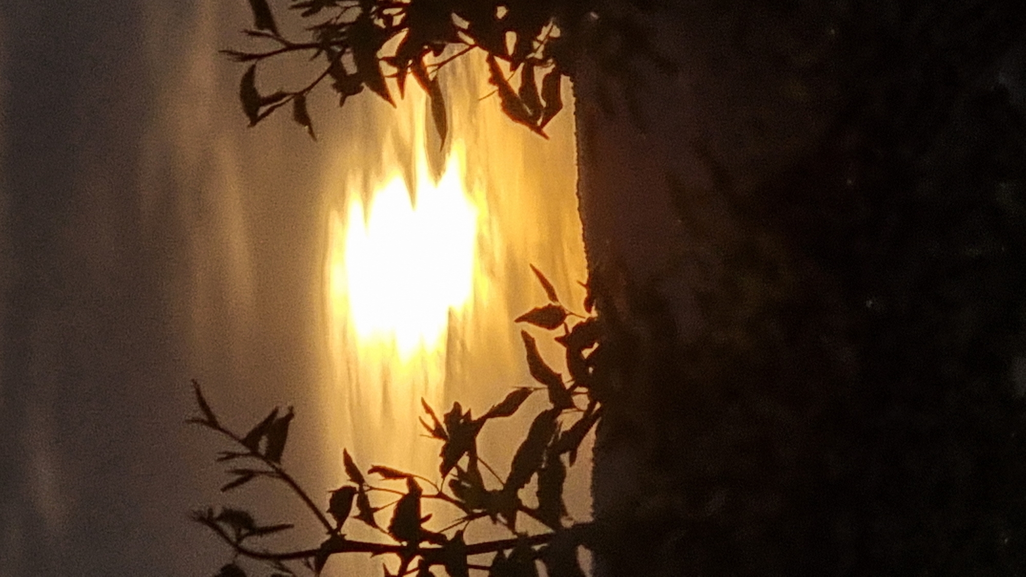 The image shows a bright, diffused light source, likely the sun, partially obscured by dark foliage, possibly tree branches with leaves. The foliage is concentrated on the right side of the frame, creating a silhouetted effect. Some foliage is also visible in the lower left quadrant. The light source appears elongated vertically and somewhat distorted, possibly due to atmospheric conditions or reflections. The overall background is a hazy gray/yellow gradient, suggesting a sunset or sunrise. There is no information in the image to specifically identify the location as Dunnae-myeon, South Korea.
