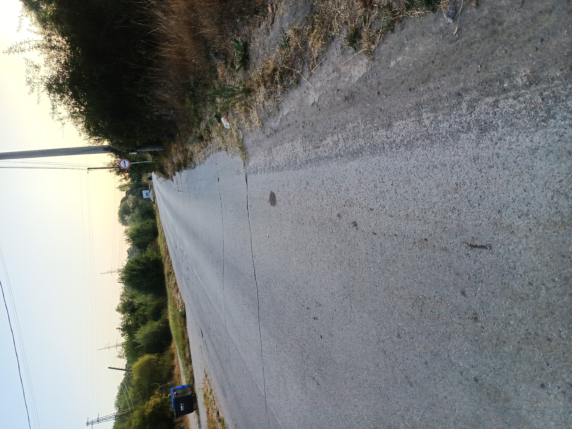 A paved road curves through a rural landscape with dry grass and trees lining the sides. The road surface is cracked and shows signs of wear. A trash bin, black with a blue lid, is situated on the left side of the road. A traffic sign, indicating "no overtaking," is posted on a pole on the right side of the road. Power lines and poles are visible in the background, along with a distant structure. The sky is clear and pale, suggesting either early morning or late afternoon. This scene is located in Kralev Dol, Bulgaria.