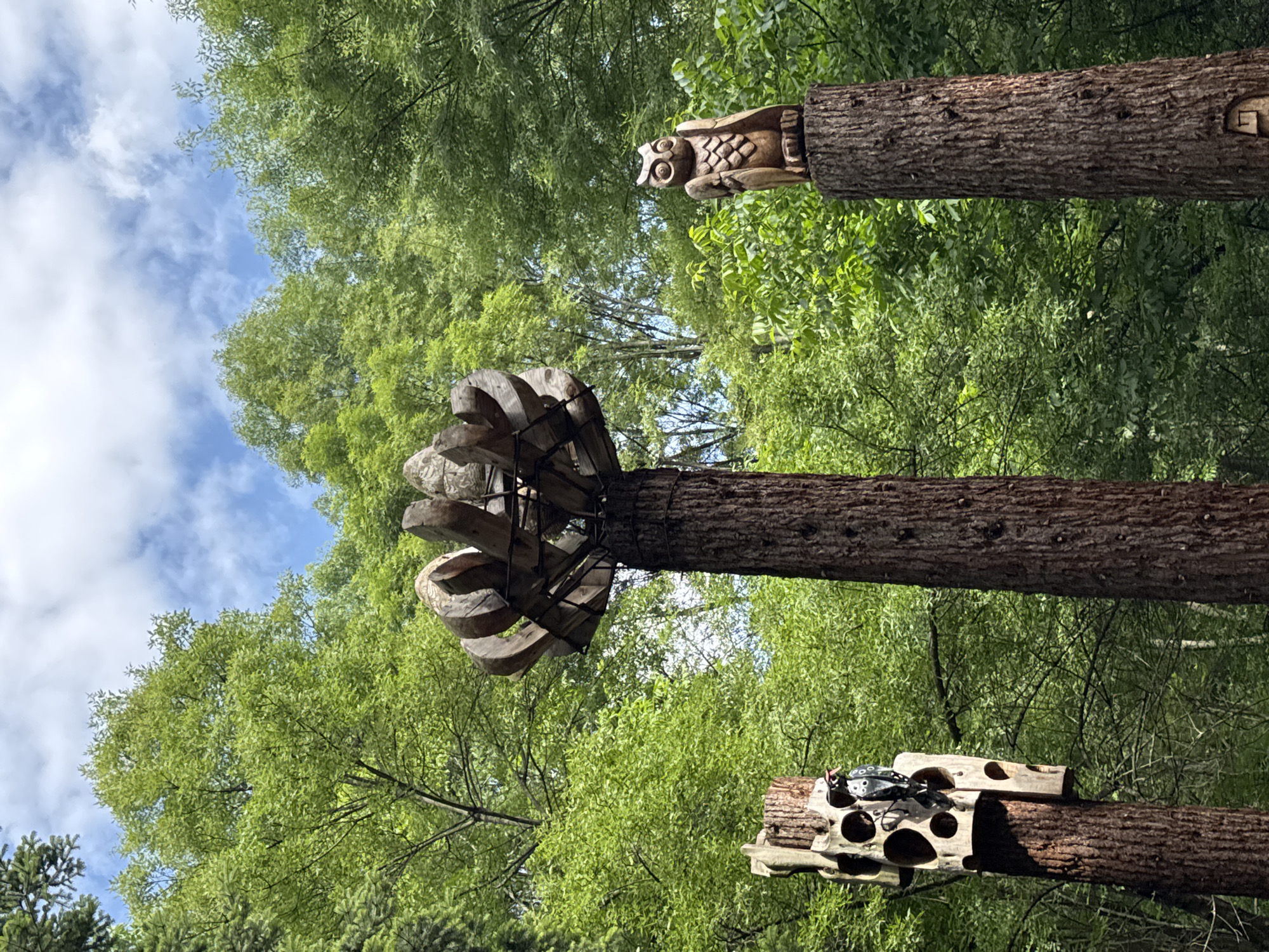 This detailed image depicts an outdoor scene in Vrana Palace Park, Sofia, Bulgaria, showcasing three prominent tree trunks adorned with unique wooden and metal art installations.
In the foreground, from left to right:
1. A tree trunk features a light-colored, irregularly shaped wooden panel attached to its side. This panel is perforated with multiple circular and oval openings, creating a patterned, honeycomb-like effect. A black metal sculpture of a woodpecker with a red head is affixed to this panel, positioned as if pecking at the wood.
2. A taller, central tree trunk is topped with a large, elaborate wooden sculpture. This sculpture consists of numerous curved, petal-like wooden segments arranged radially, forming a crown or abstract floral shape. These segments are secured by a visible dark metal framework.
3. A third tree trunk, positioned to the right, is topped with a finely carved wooden sculpture of an owl, facing directly towards the viewer. The owl features distinct eyes, wings, and feather details.
The background is dominated by a lush, dense canopy of vibrant green deciduous trees, suggesting a forest or heavily wooded park environment. Above the tree line, a bright blue sky with scattered white cumulus clouds is visible. The scene is devoid of any human presence or overt action, focusing entirely on the static display of nature and art.