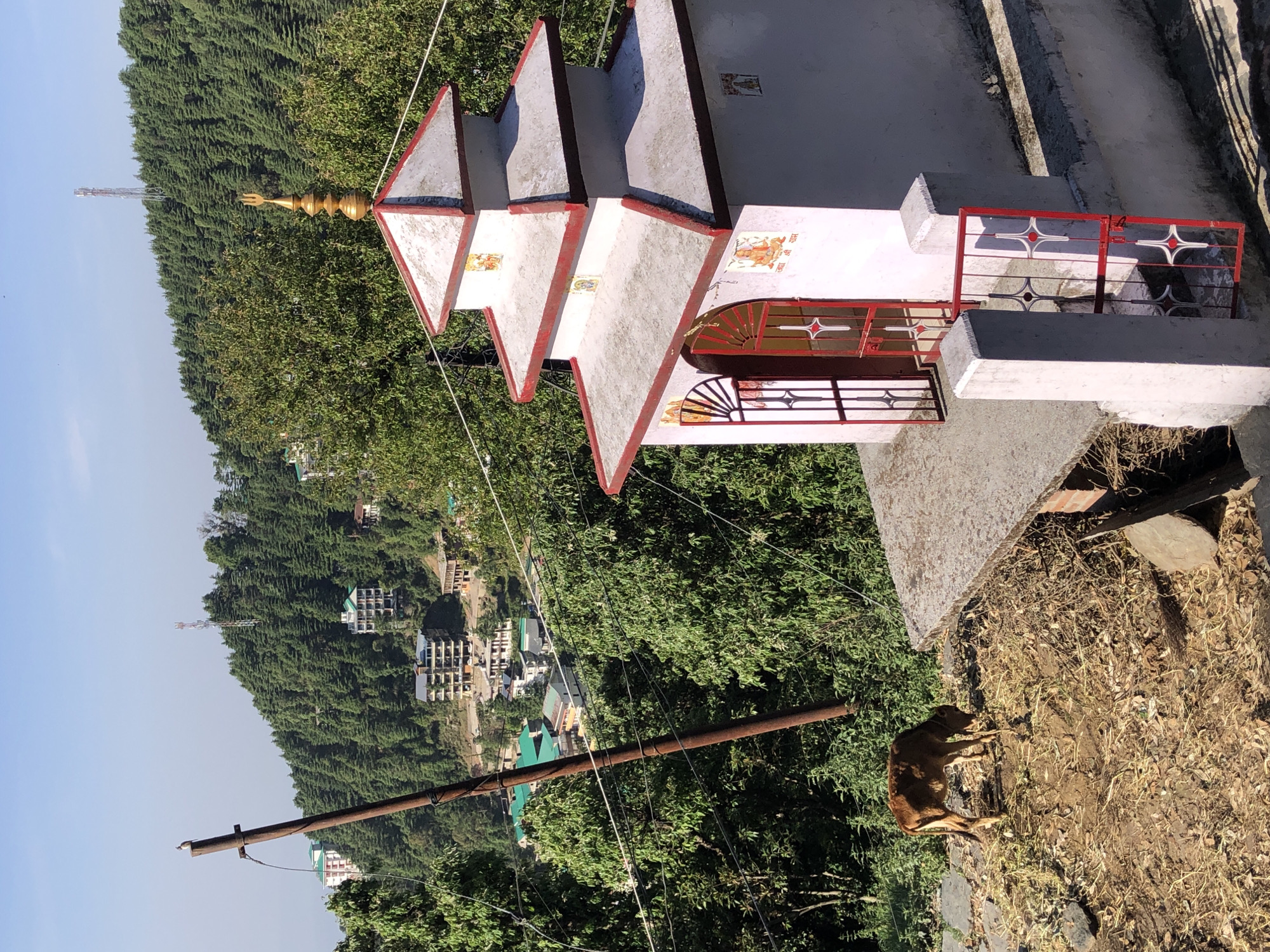 The image, oriented incorrectly and showing a vertical composition that should be horizontal, depicts a serene, hilly landscape in Haini, India. In the foreground, slightly to the right, a small, multi-tiered building, likely a temple or shrine, stands prominent. Its exterior is white with red trim, and it features distinctive triangular roofs. A golden spire, possibly a trishula (trident), crowns the uppermost tier. The building's walls are adorned with colorful religious icons or pictures, and red metal railings with intricate star-like designs are visible on a balcony and an adjacent gate. One section of the wall clearly shows Hindi text, reading "जय श्री राम" (Jai Shri Ram).
To the lower right of the building, a brown animal, resembling a dog or small deer, stands on a patch of dry grass and dirt. A wooden utility pole with wires extends diagonally across the mid-ground.
The background is dominated by dense, lush green forests covering rolling hills. Scattered amidst the trees on the distant hills are several multi-story buildings, indicating some level of human settlement. A tall communication tower is also visible on one of the hills. The sky is clear and bright blue, suggesting a sunny day. The overall impression is one of a peaceful, semi-rural setting nestled within natural beauty.