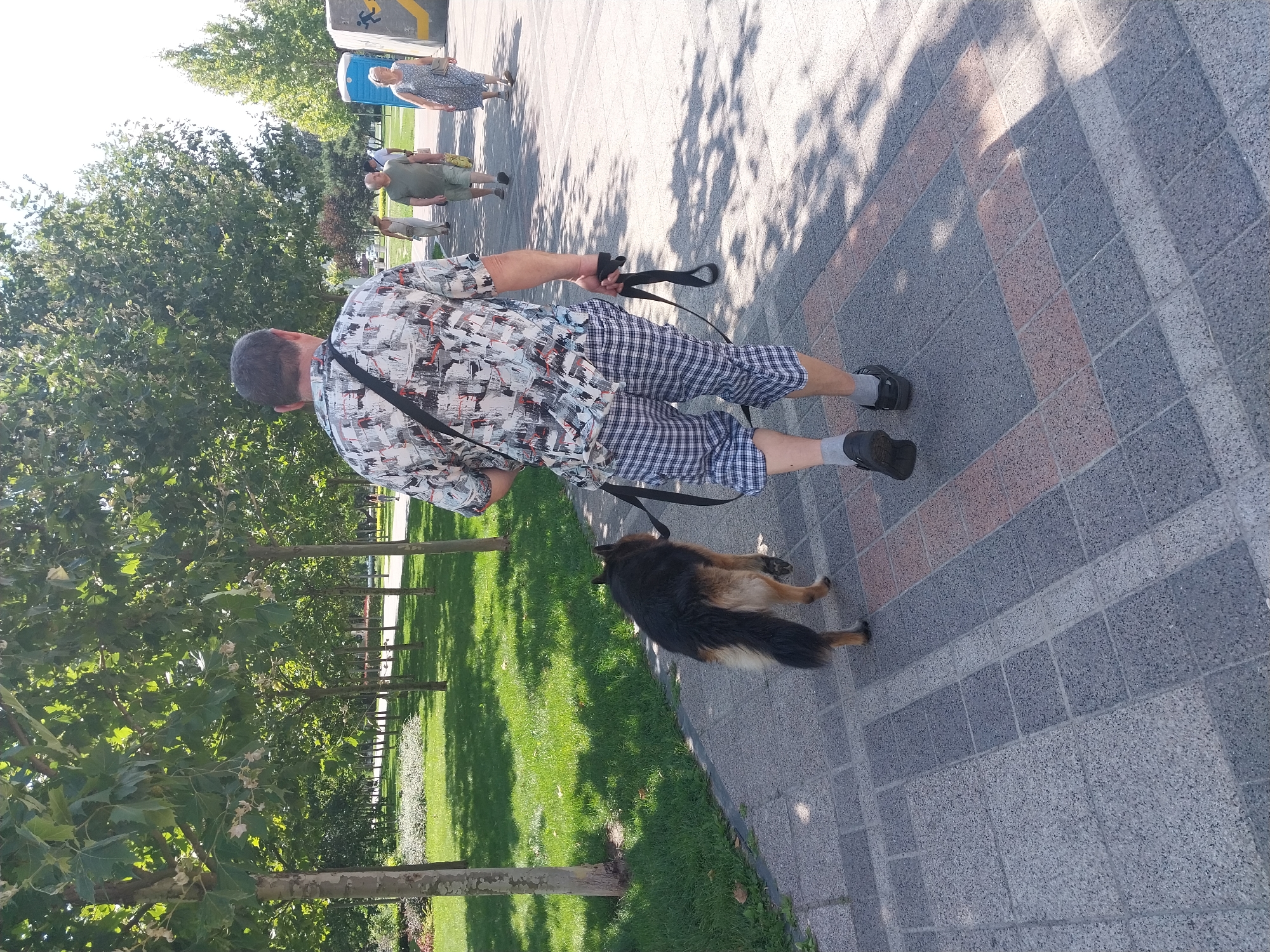 This image depicts a man and his dog walking on a paved pathway in a park. The man, seen from behind, is wearing a colorful, patterned short-sleeved shirt and plaid shorts. He is holding a leash attached to a medium-sized dog, likely a German Shepherd mix, which is walking beside him. The pathway is made of rectangular pavers in various shades of grey, with some pinkish-red accent pavers. To the left of the pathway, a well-maintained green lawn is visible, bordered by trees with lush green foliage casting dappled shadows on the ground. In the background, other people are walking, and trees continue to line the path. Further in the distance, there are structures, including a blue portable toilet. The scene suggests a sunny day in an urban park environment, likely in the city of Dnipro, Ukraine, given the context provided.