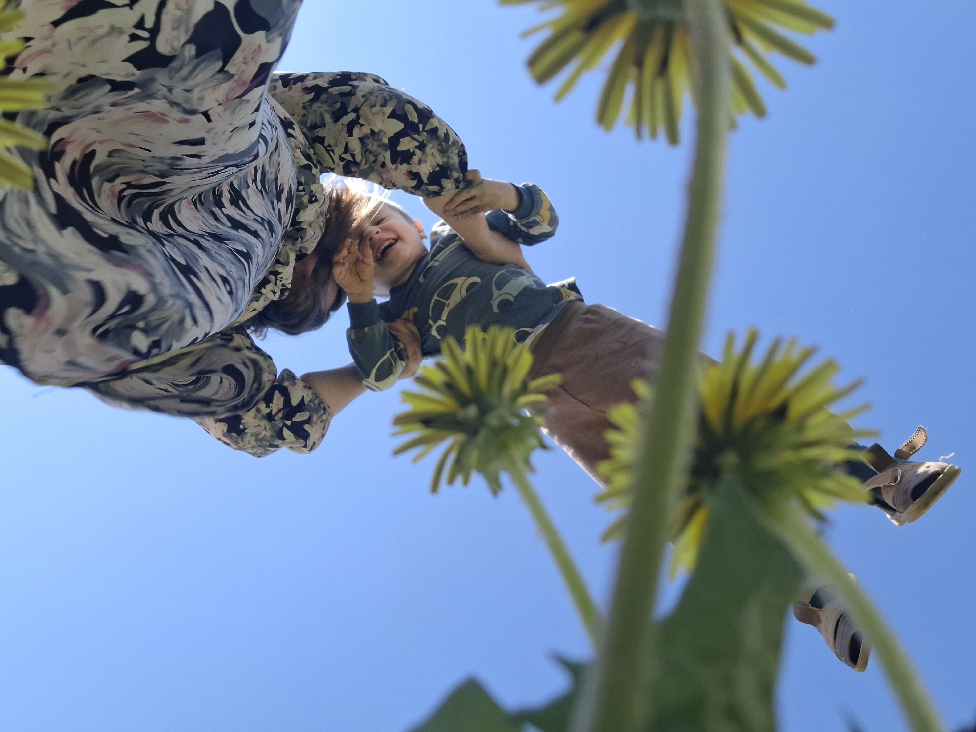 A low-angle shot of an adult holding a child in the air. The adult is wearing a patterned shirt with colors including grey, black, white, and pink. The child is wearing a long-sleeved shirt with small car designs and brown pants. The child is smiling widely and appears to be enjoying being held in the air. Several dandelions are visible in the foreground, slightly out of focus. The background is a clear blue sky. No information suggests that this photo was taken in the city of Амзя, Russia.