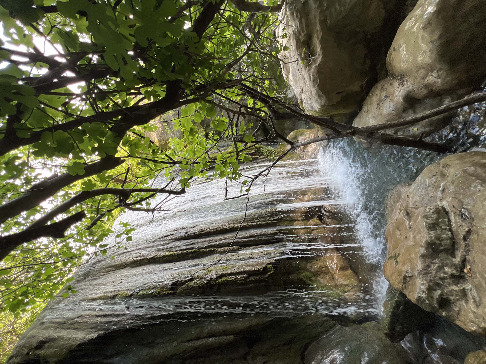 The image depicts a small waterfall cascading down a rock face, surrounded by foliage and rocks. The water flows from the top of the frame and empties to the bottom. A tree branch with green leaves extends from the top left corner, partially obscuring the view of the top of the waterfall. There are various rocks in the surrounding area. The location is not specified as Krapina, Montenegro, and cannot be confirmed from visual data.