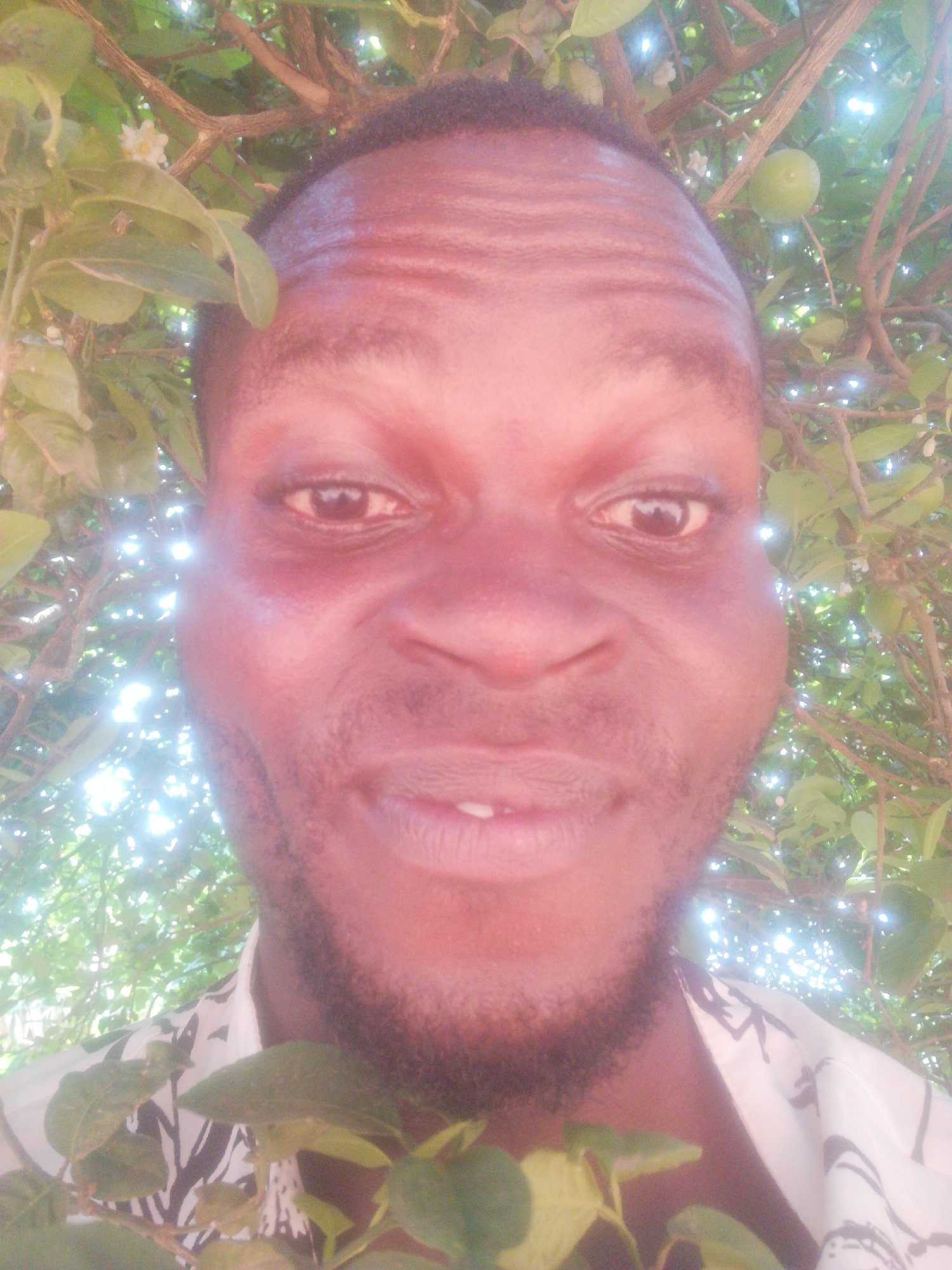 A man is standing outside, partially obscured by tree branches and leaves. The man has dark skin, short hair, and a beard. He is wearing a light-colored shirt with a dark pattern. The location is indicated as Unknown, Unknown.