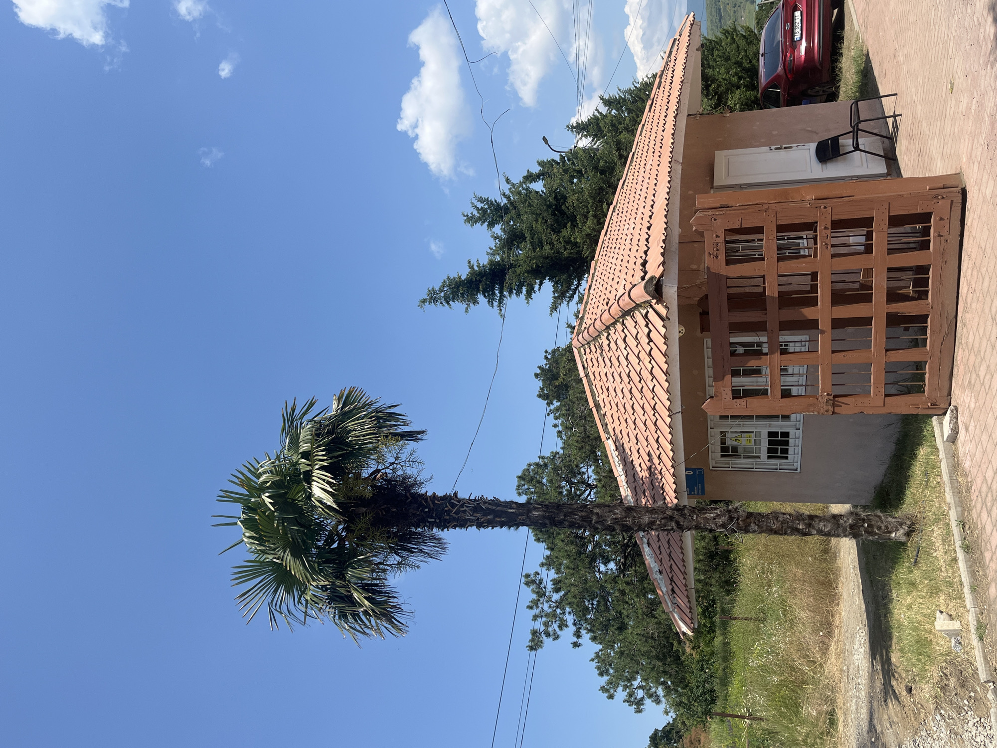 An outdoor, eye-level, full shot shows a small, beige, one-story building with a red tile roof. The building has a white door on the right side and two windows with white bars and caution signs. In front of the building is a tall, skinny palm tree and an open wooden gate. A red car with a license plate that reads "TB 862 TT" is parked to the right of the building. The background features green trees and a bright blue sky with scattered clouds. The ground is paved with red bricks and there is a patch of dry grass in front of the building. The scene is located in Tbilisi, Georgia.