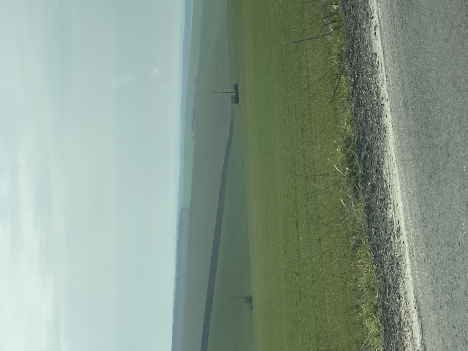 The image displays an extensive agricultural landscape near Senovo, Bulgaria, under an overcast or hazy sky. In the immediate foreground, the edge of a dark asphalt road with a light gray gravel shoulder is visible at the bottom. The midground features vast, gently undulating green fields, indicative of planted crops, stretching across the scene. A prominent curved band of dark brown, freshly tilled earth horizontally bisects the green fields in the mid-left. Two isolated, dark vertical poles, likely utility or marker posts, are present within the fields; one is situated in the mid-left with low vegetation around its base, and another stands further right, similarly anchored by a small clump of bushes. The background consists of successive layers of distant green hills and faint tree lines, gradually fading into the pale, light blue-grey horizon. There are no individuals, animals, or vehicles visible within the scene.
