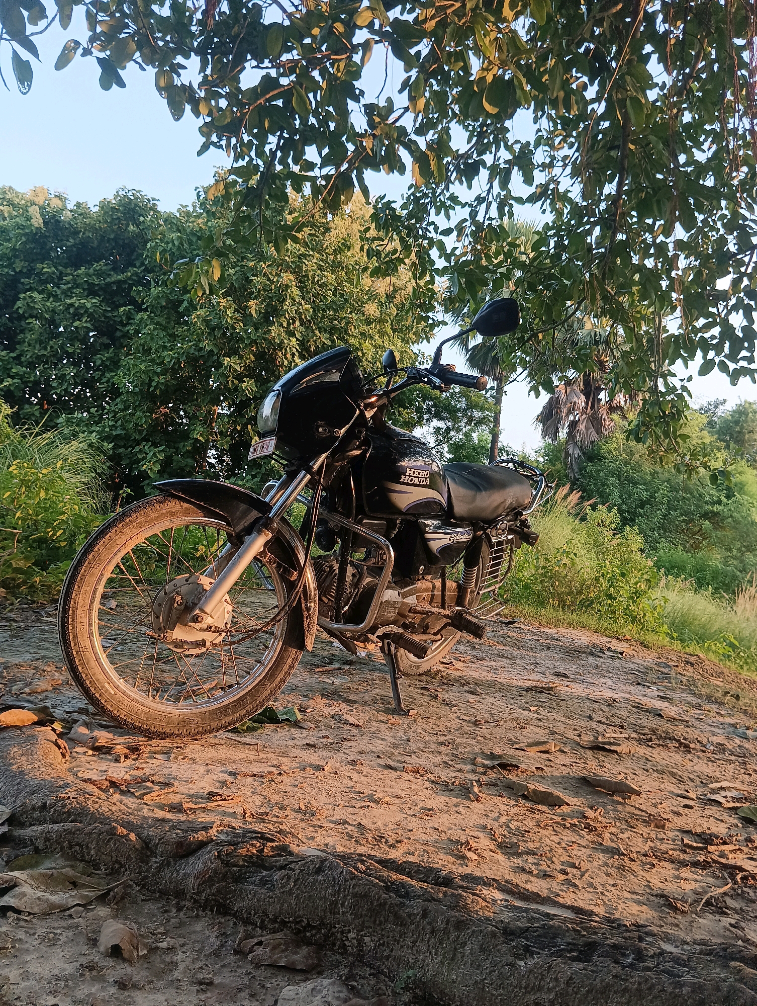A black Hero Honda motorcycle is parked on a dirt path in Tilkar, India. The motorcycle is facing right, with its front wheel slightly turned. The scene is illuminated by the warm light of sunset, casting long shadows. Lush green trees and vegetation surround the path, with palm trees visible in the background. The sky is clear and blue. There are no people in the image. The ground is uneven and appears to be composed of dirt, rocks, and dried leaves. The motorcycle is in good condition, with visible branding on the seat. The overall impression is one of a peaceful, rural setting.