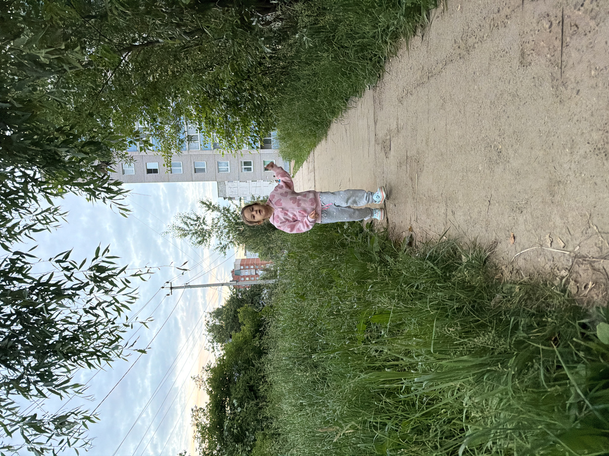 In Chaikovsky, Russia, a young girl with brown hair, wearing a pink hooded jacket with heart patterns and grey sweatpants, walks along a dirt path bordered by tall green grass. She is facing the camera, with her right arm slightly raised. To the left of the path, a dense area of grass is visible, while on the right, the path is lined by more grass and trees, with a multi-story apartment building in the background. The sky above is cloudy with hints of pastel colors, suggesting either early morning or late evening. Overhead power lines and a utility pole are present in the distance.