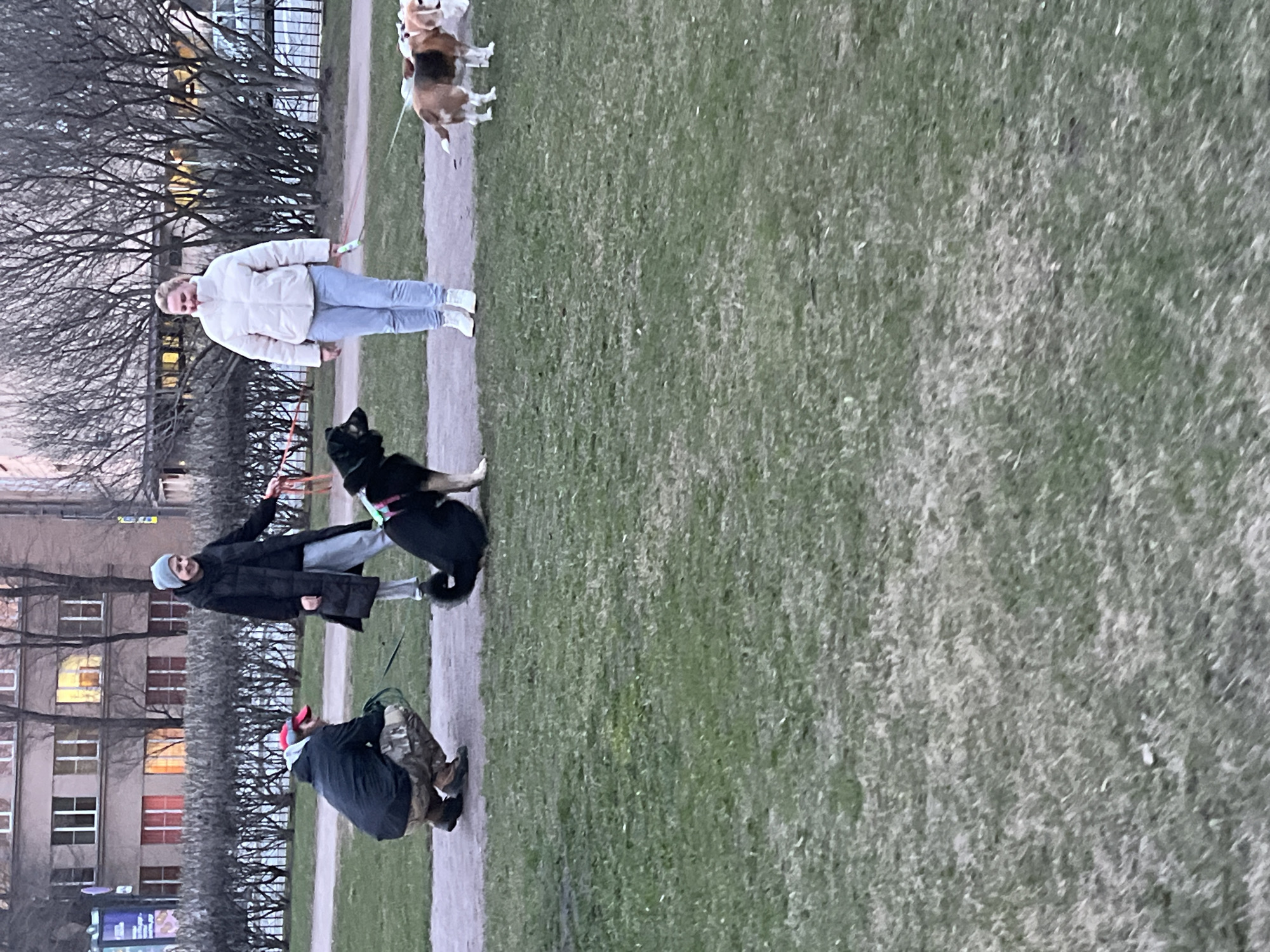 The image depicts a scene in a park in Saint Petersburg, Russia. Three people are present with dogs. One person, wearing a red hat and dark clothing, is crouched down near the bottom of the image. Another person, wearing a black coat and grey hat, is standing and holding a leash attached to a black dog. A third person, wearing a white jacket and light blue pants, is standing further away, also holding a leash connected to two dogs. All are situated on a narrow dirt path that runs between a grassy area and some buildings in the background. The trees are bare, suggesting it is either late fall or early spring. There is a building with lit windows in the background. A blue street sign is partially visible in the bottom left corner of the image.
