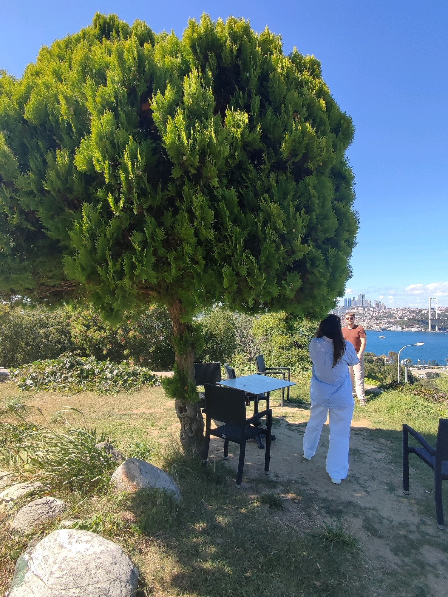 This image depicts a sunny outdoor scene, likely in Üsküdar, Turkey, given the background vista of the Bosphorus Strait and the city skyline, dominated by the Bosphorus Bridge.
In the foreground, a large, dense evergreen tree shades a small outdoor seating area. Two chairs and a table are visible under the tree's canopy. The ground is covered with dry grass, scattered rocks, and some low-lying vegetation.
Two people are present. A woman, wearing a light blue striped shirt and white pants, stands facing away from the camera, looking towards the water and city. A man, wearing a reddish-brown t-shirt and light-colored pants, stands slightly behind and to her right, also facing the cityscape. Their postures suggest they are observing the view.
The middle ground features more greenery and slopes downwards towards the water. The Bosphorus Strait is a prominent feature, with several boats visible on its surface. The background showcases the distinctive architecture of Istanbul, including tall buildings and the iconic Bosphorus Bridge stretching across the strait. The sky is clear and blue. The overall impression is one of a scenic overlook with a relaxed atmosphere.
