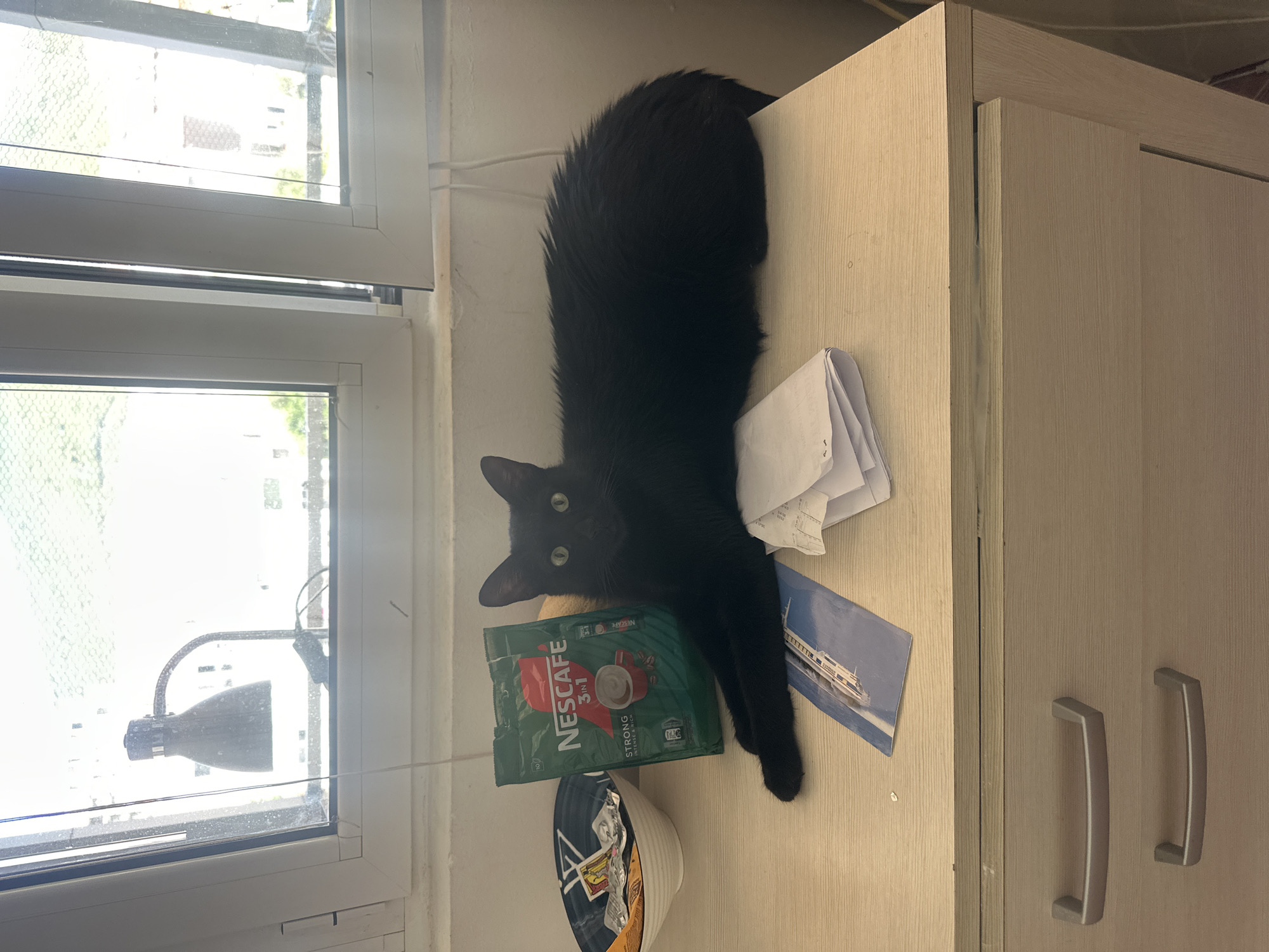 A black cat is lying on a light-colored wooden surface, possibly a desk or cabinet, in front of a window. The cat is mostly filling the frame, with its head turned towards the viewer, showing its green eyes. It is lying on its side with its paws extended. Next to the cat, there are a few items: a green packet of Nescafé 3-in-1 coffee, a white folded paper, and a blue pamphlet with an image of a ship. Below these items, a white bowl with some food or contents is visible, partially obscured.
The window behind the cat appears to be a double-paned window, possibly with a screen. Through the window, an outdoor scene is visible, showing greenery and some buildings, suggesting an urban or suburban setting. A black lamp with a flexible arm is attached to the window frame, pointing towards the inside. The light in the scene appears to be natural daylight, coming from the window.
The overall mood is casual and domestic. The visible text on the coffee packet reads "NESCAFÉ 3-in-1 STRONG INTENSE". The pamphlet also has some text, but it is illegible. The image seems to be taken indoors, likely in a room with a view of the outdoors. The time of day is not explicitly indicated, but the presence of natural light suggests daytime.
